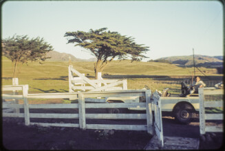 Travel Photographs from Santa Cruz Island