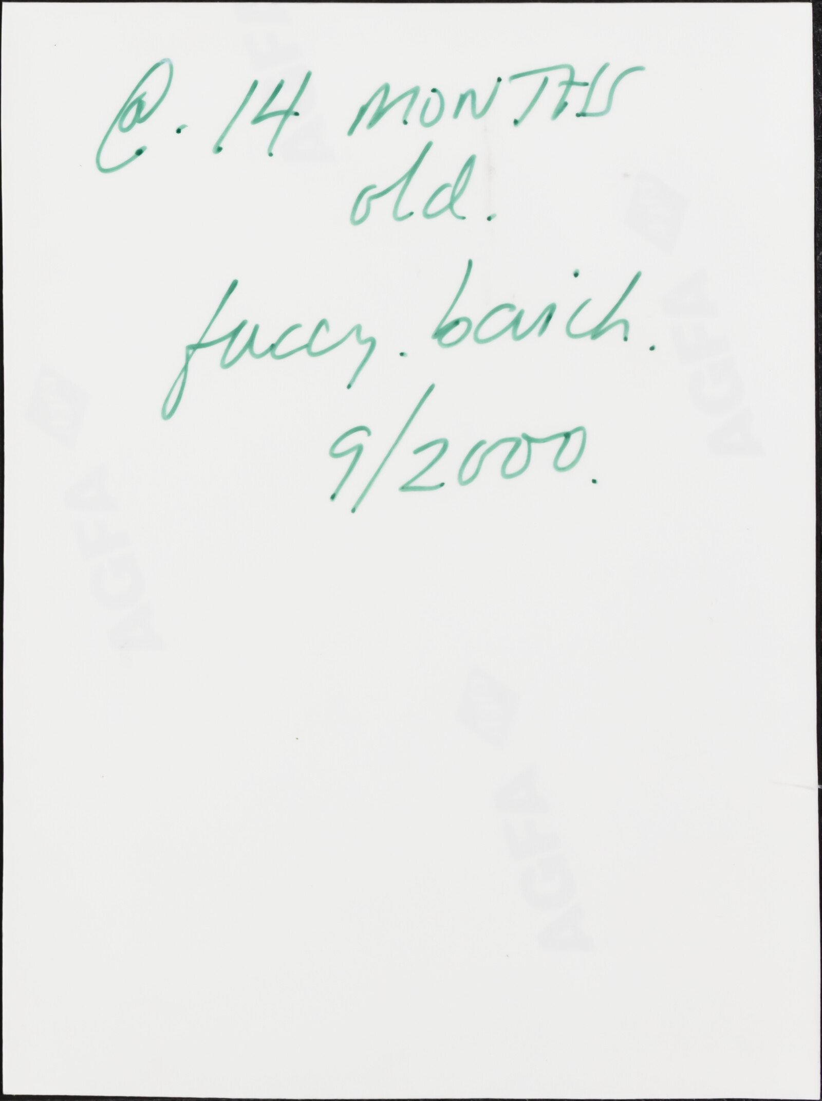 Martin FACEY, 2000-2009