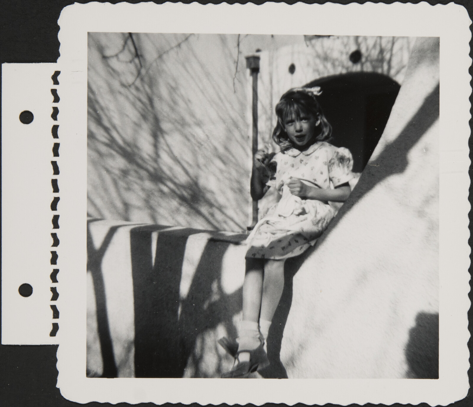 Albuquerque Family Photographs