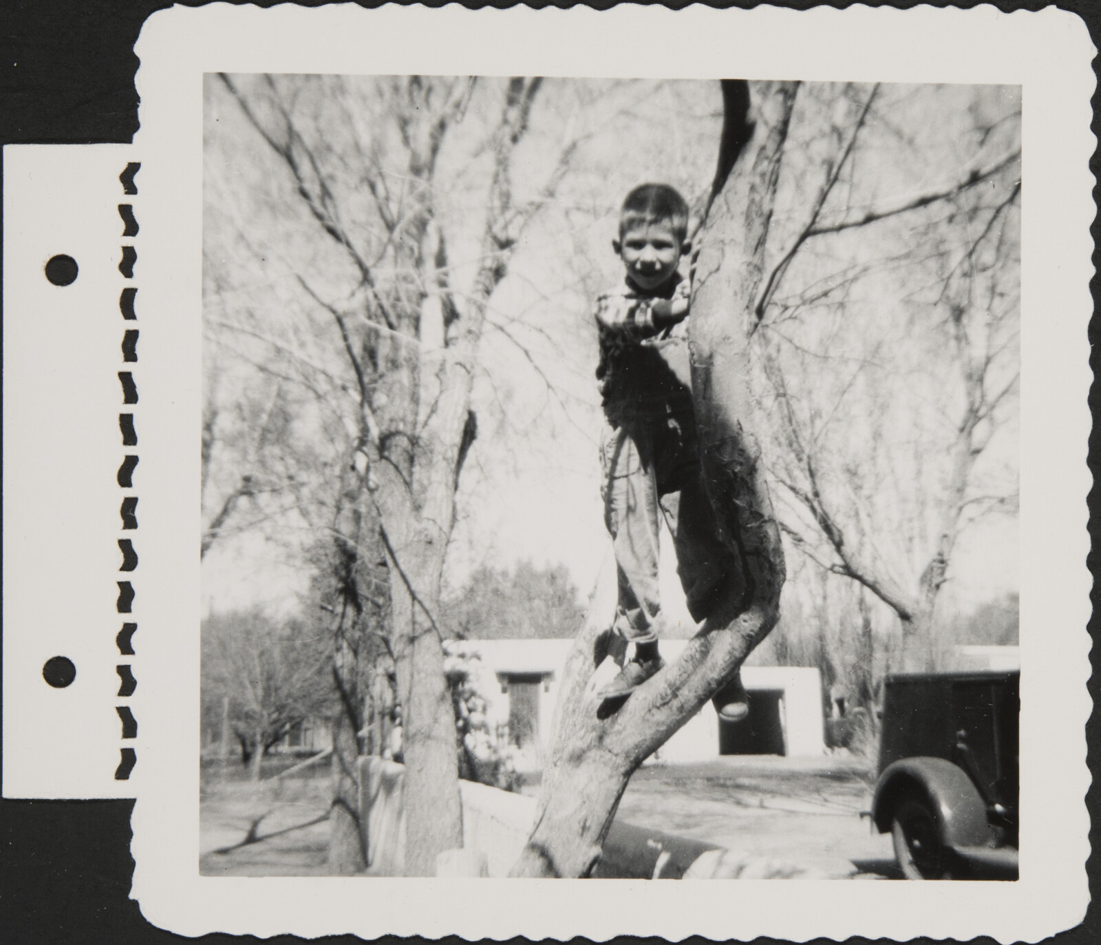 Albuquerque Family Photographs