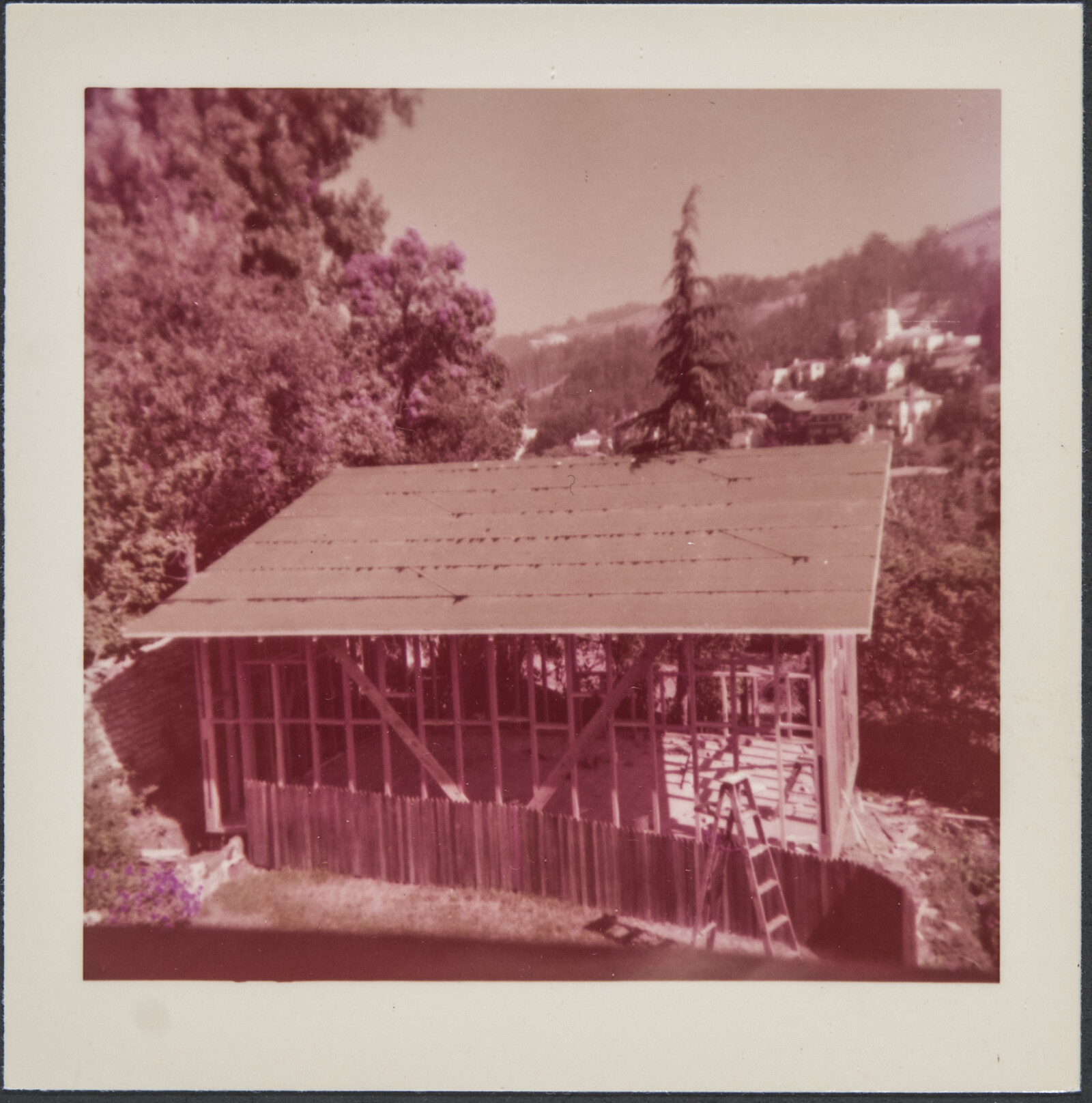 Family Photographs