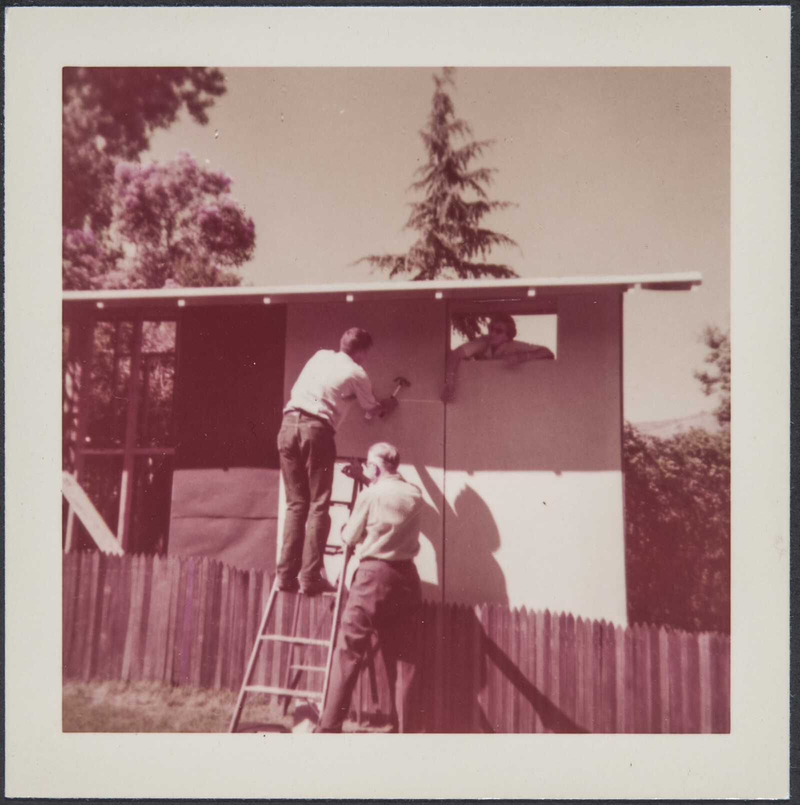 Family Photographs