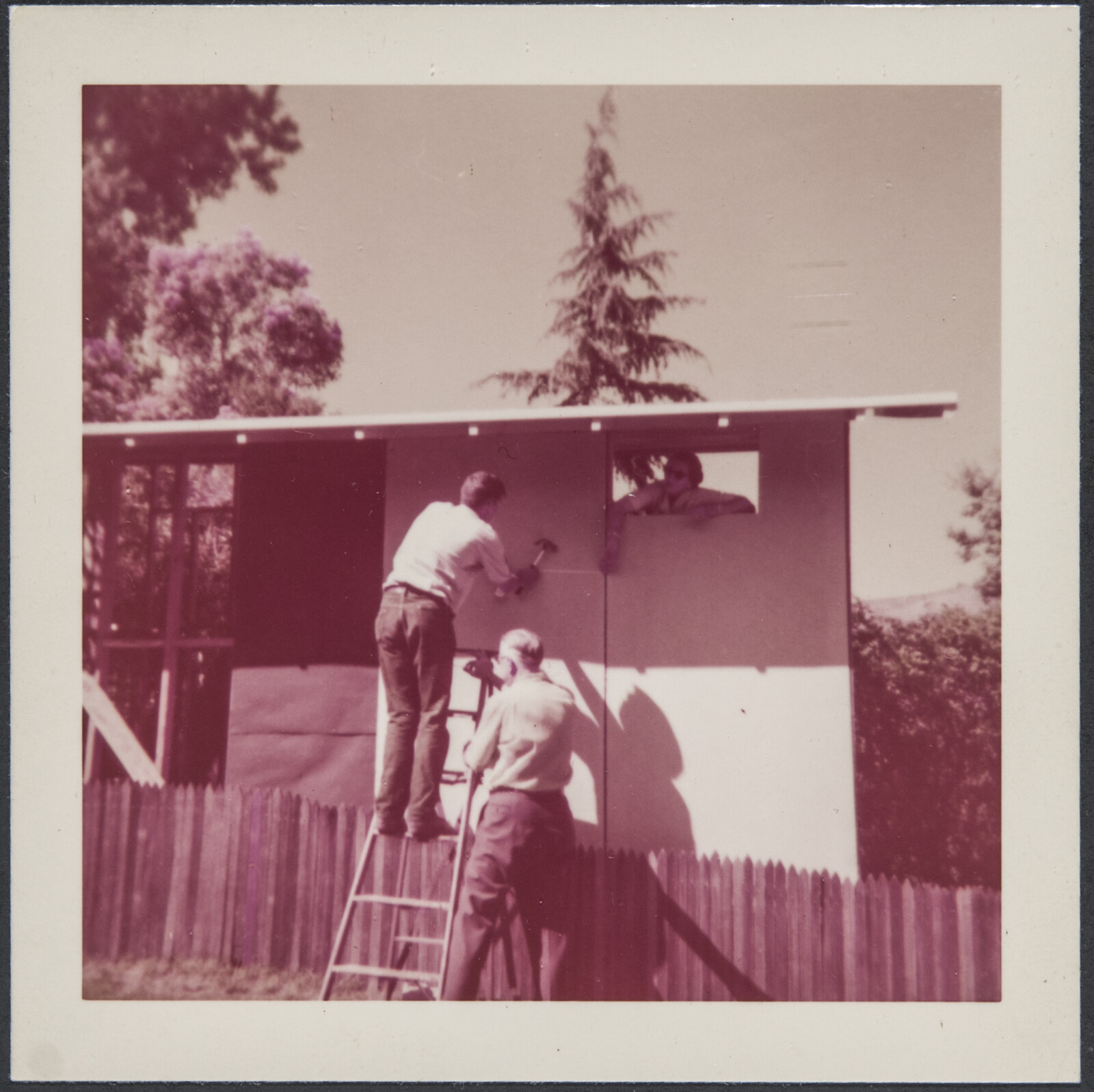 Family Photographs