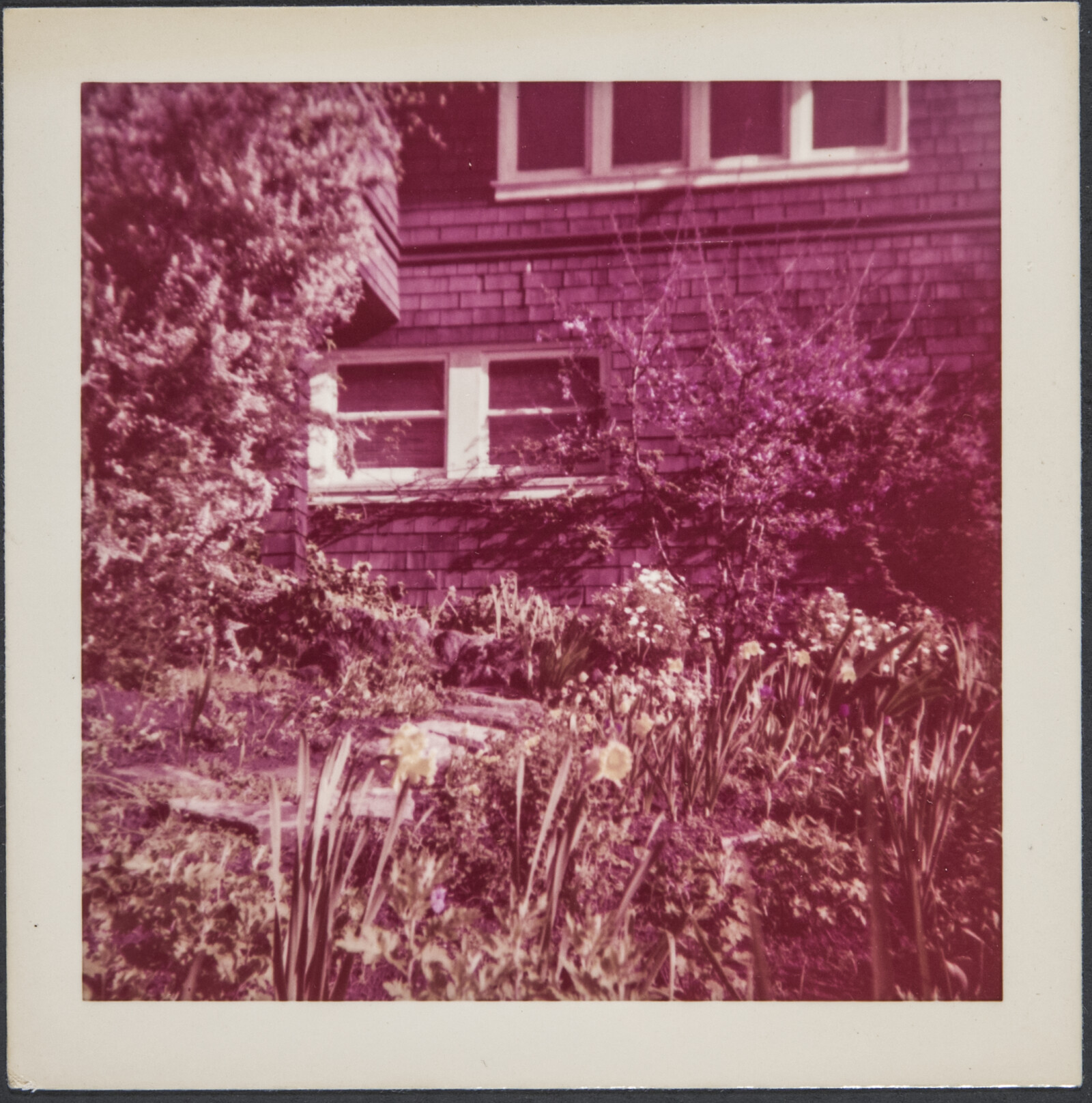 Family Photographs