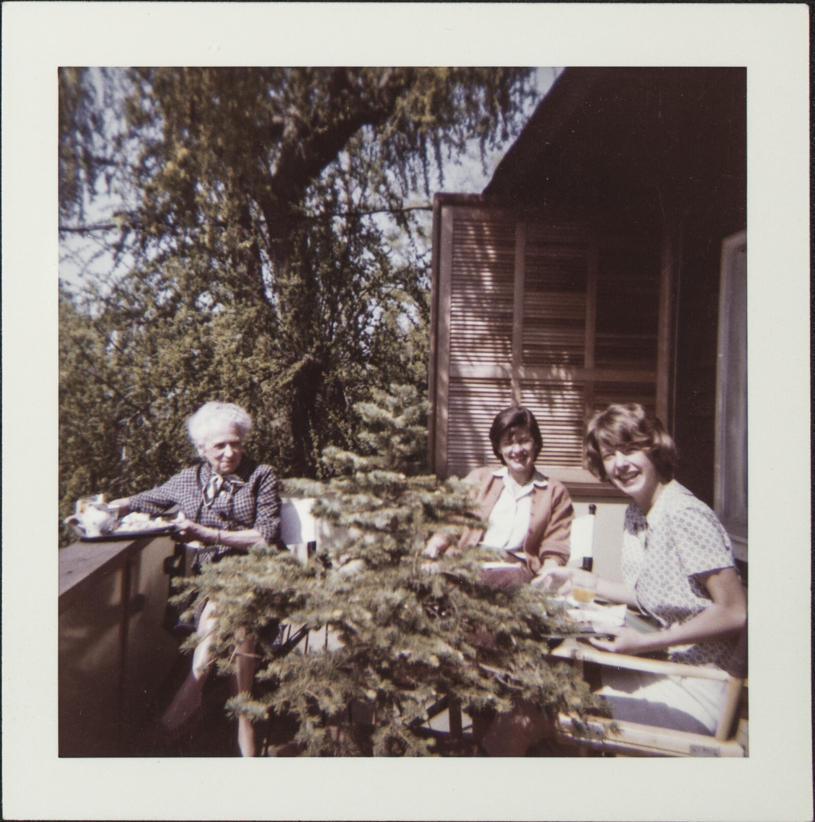 Berkeley, Southern California, and Santa Cruz Island Family Photographs