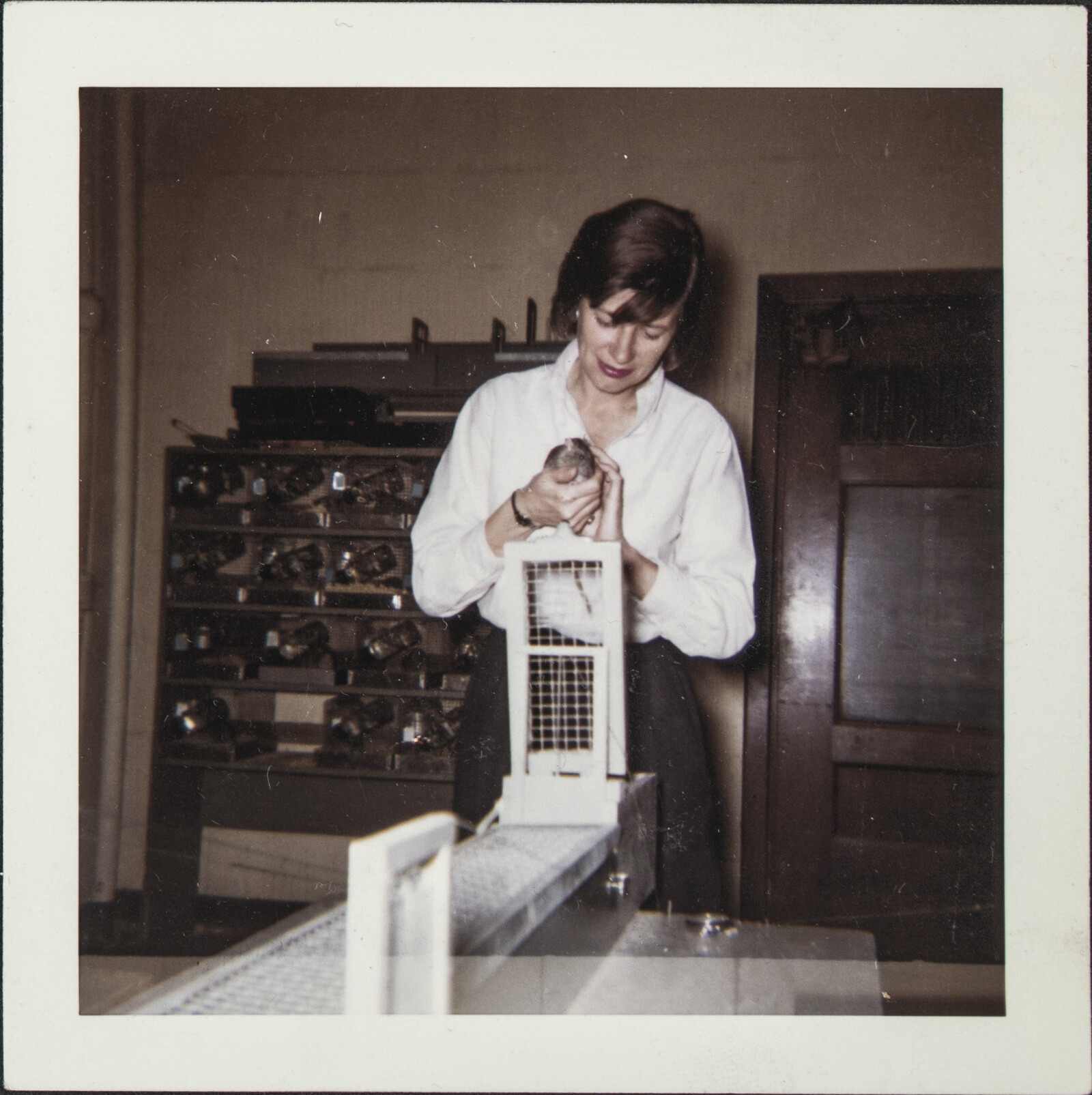 Berkeley, Southern California, and Santa Cruz Island Family Photographs