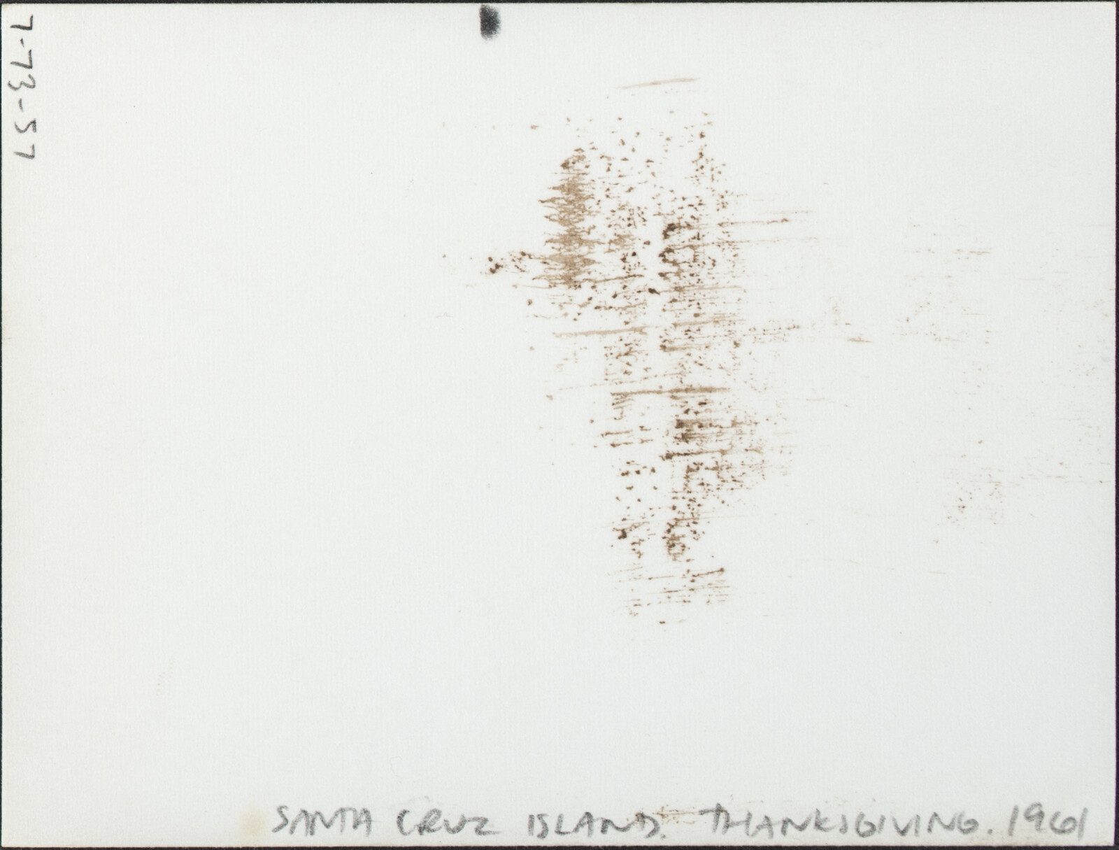 Berkeley, Southern California, and Santa Cruz Island Family Photographs