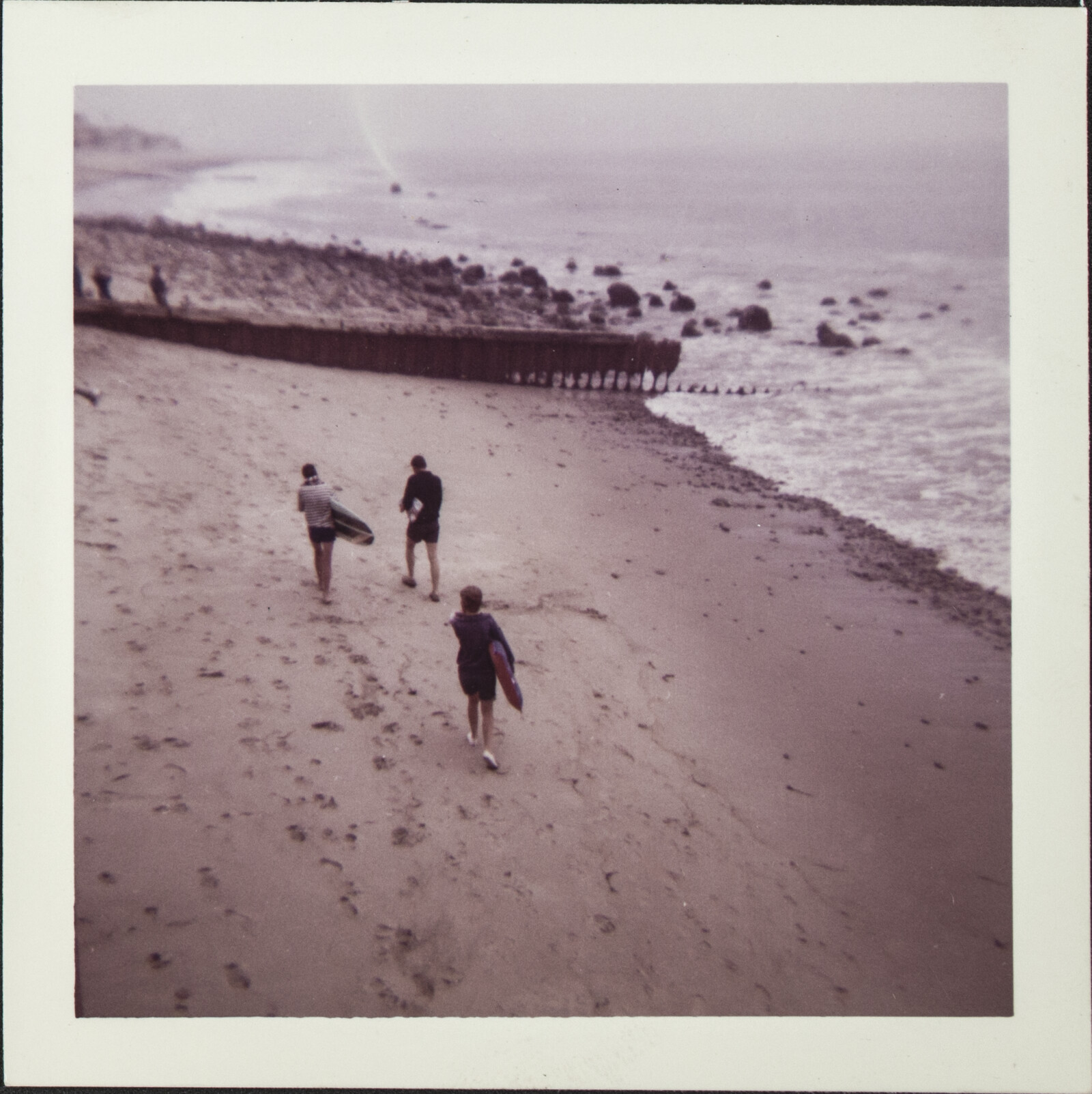 Berkeley, Southern California, and Santa Cruz Island Family Photographs