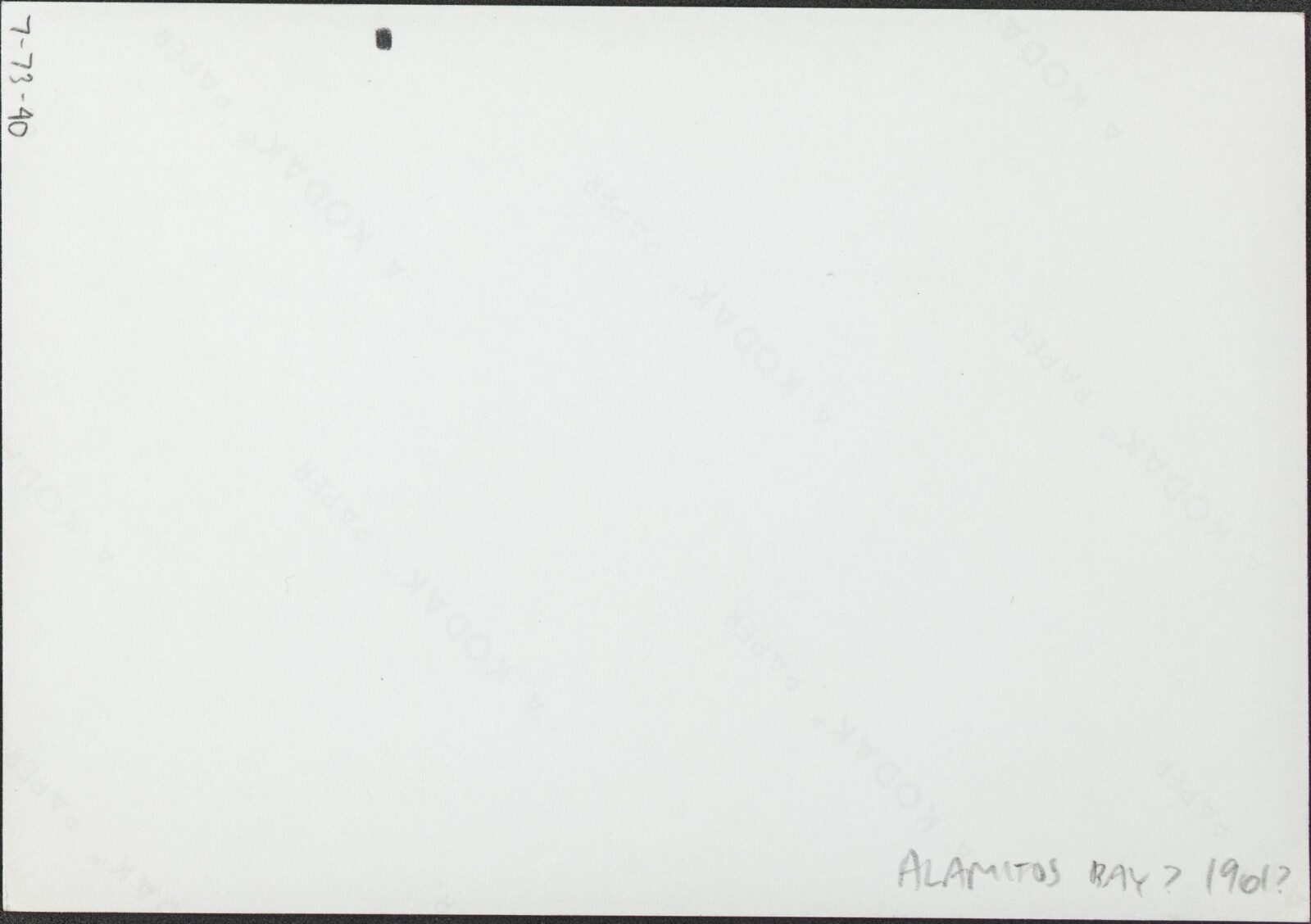 Berkeley, Southern California, and Santa Cruz Island Family Photographs