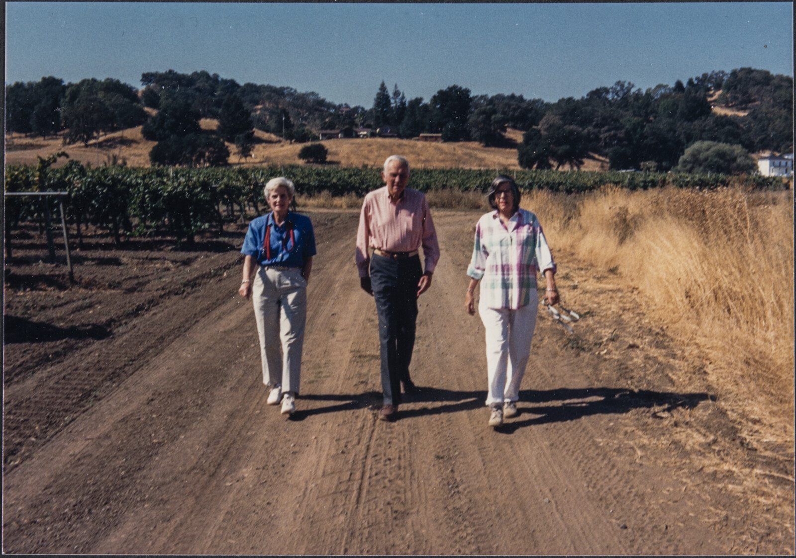 Healdsburg Family and Studio Photographs
