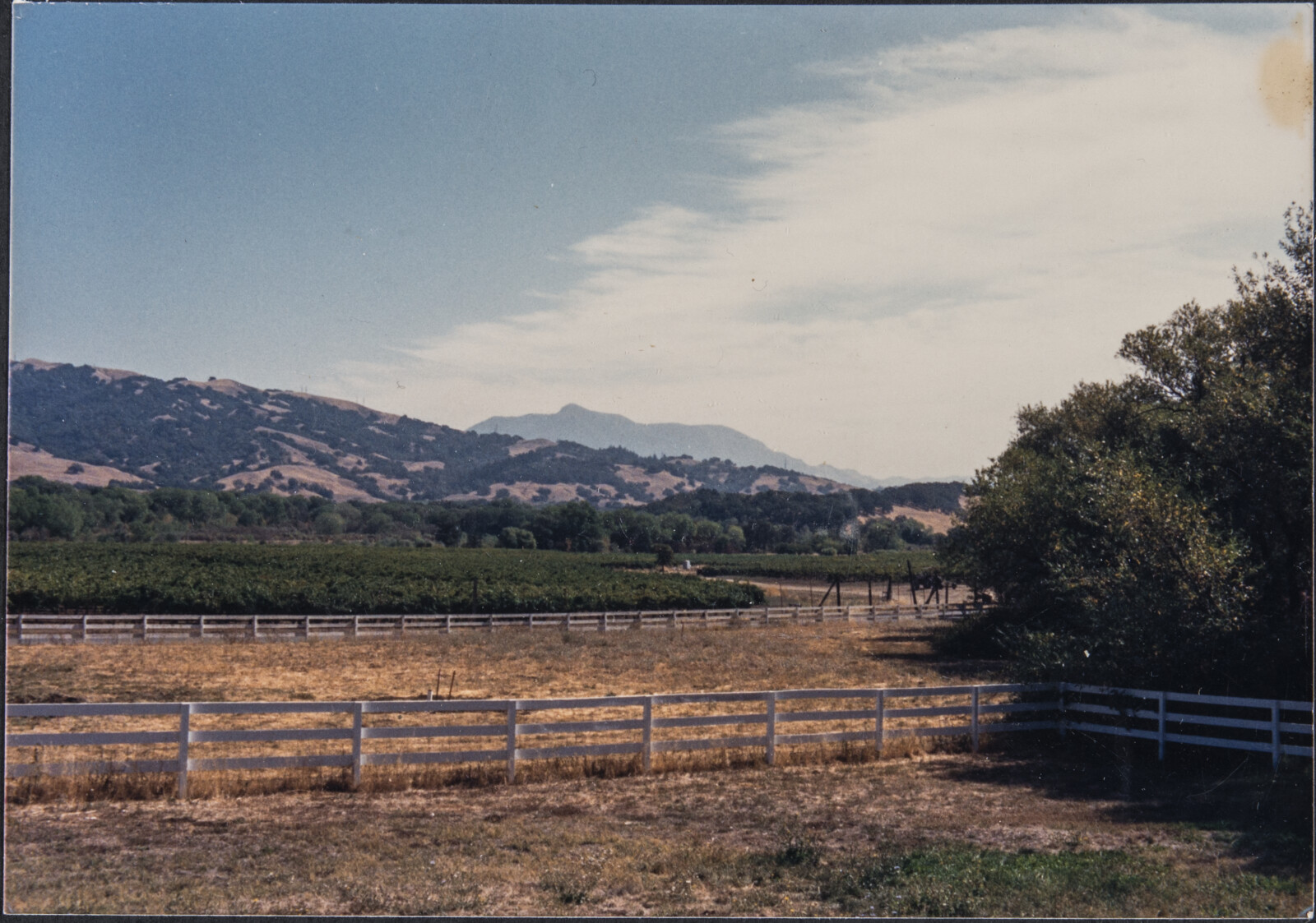 Healdsburg Family and Studio Photographs
