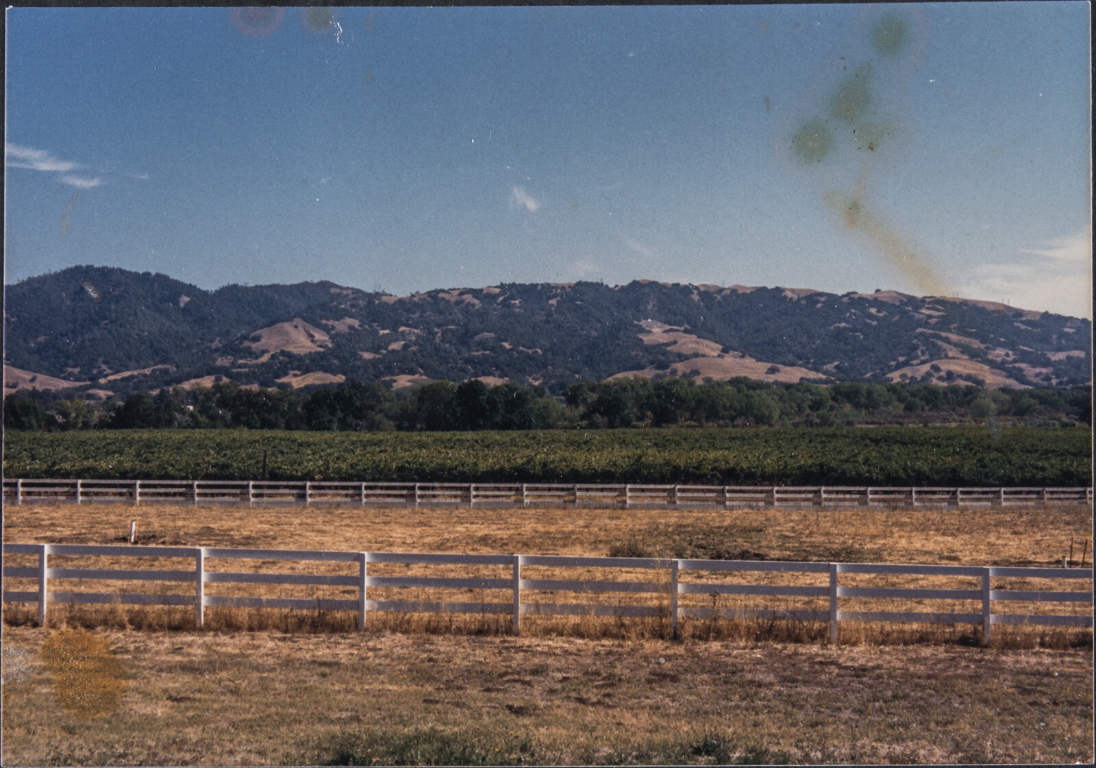 Healdsburg Family and Studio Photographs