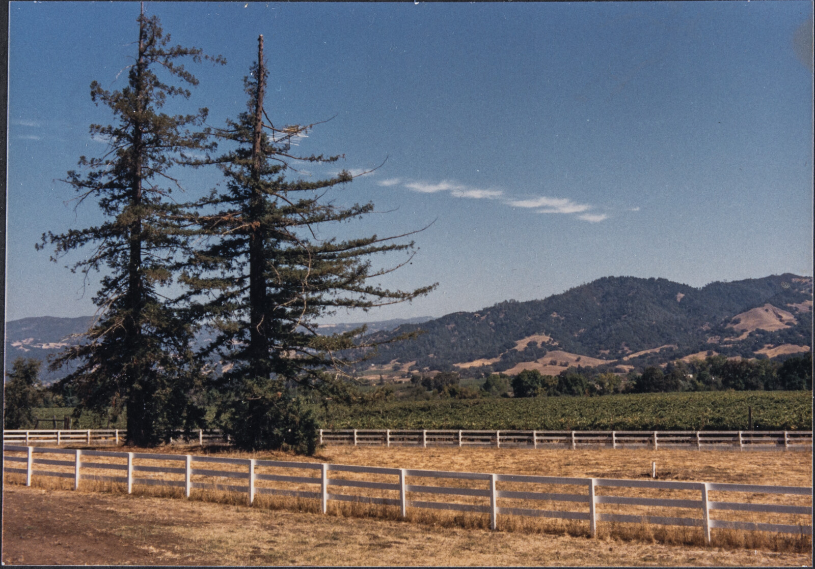 Healdsburg Family and Studio Photographs