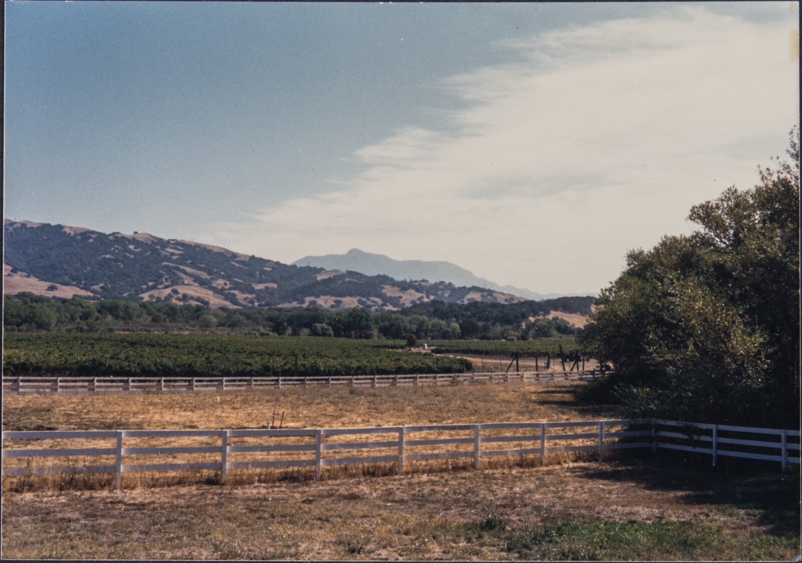 Healdsburg Family and Studio Photographs