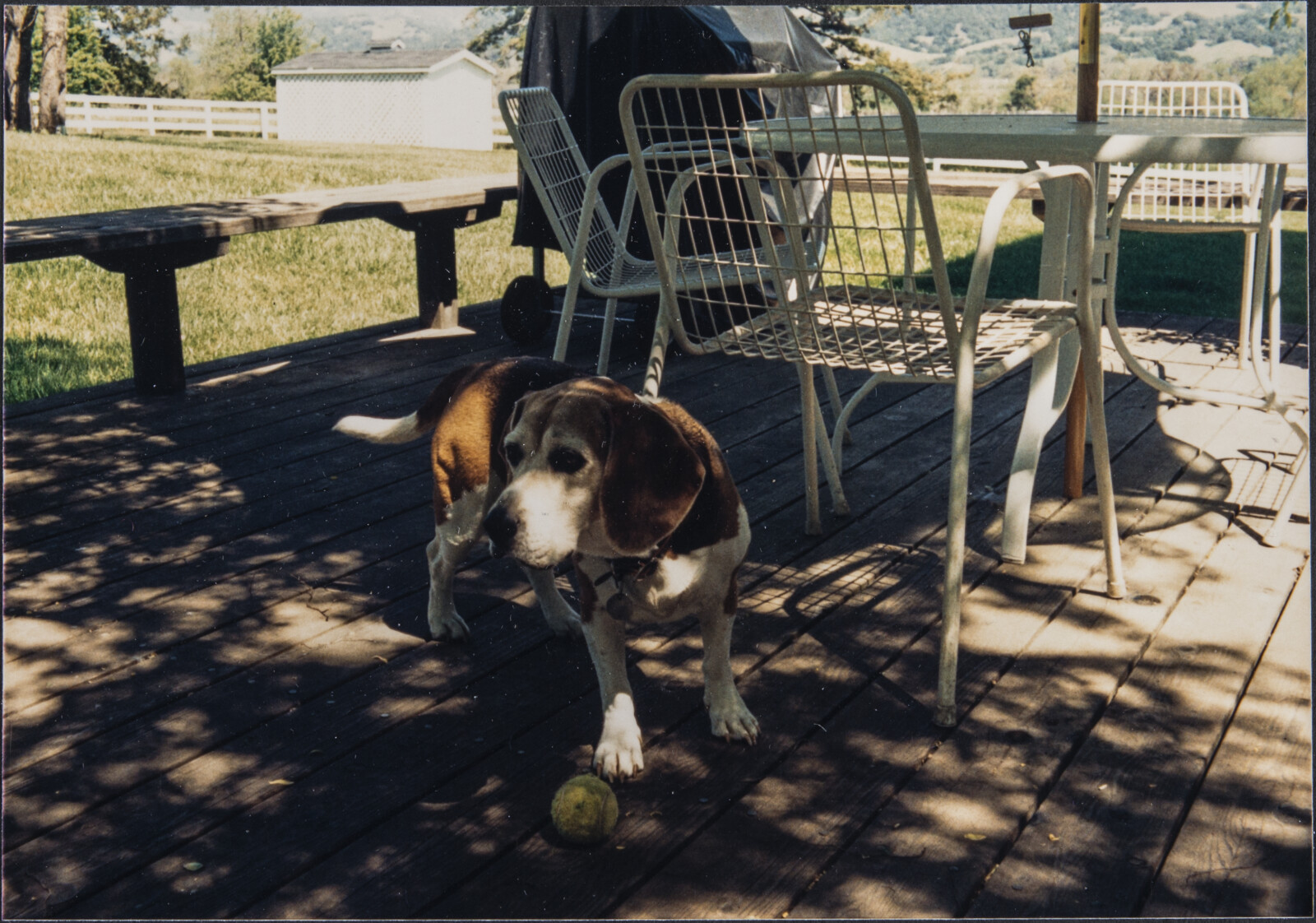 Healdsburg Family and Studio Photographs