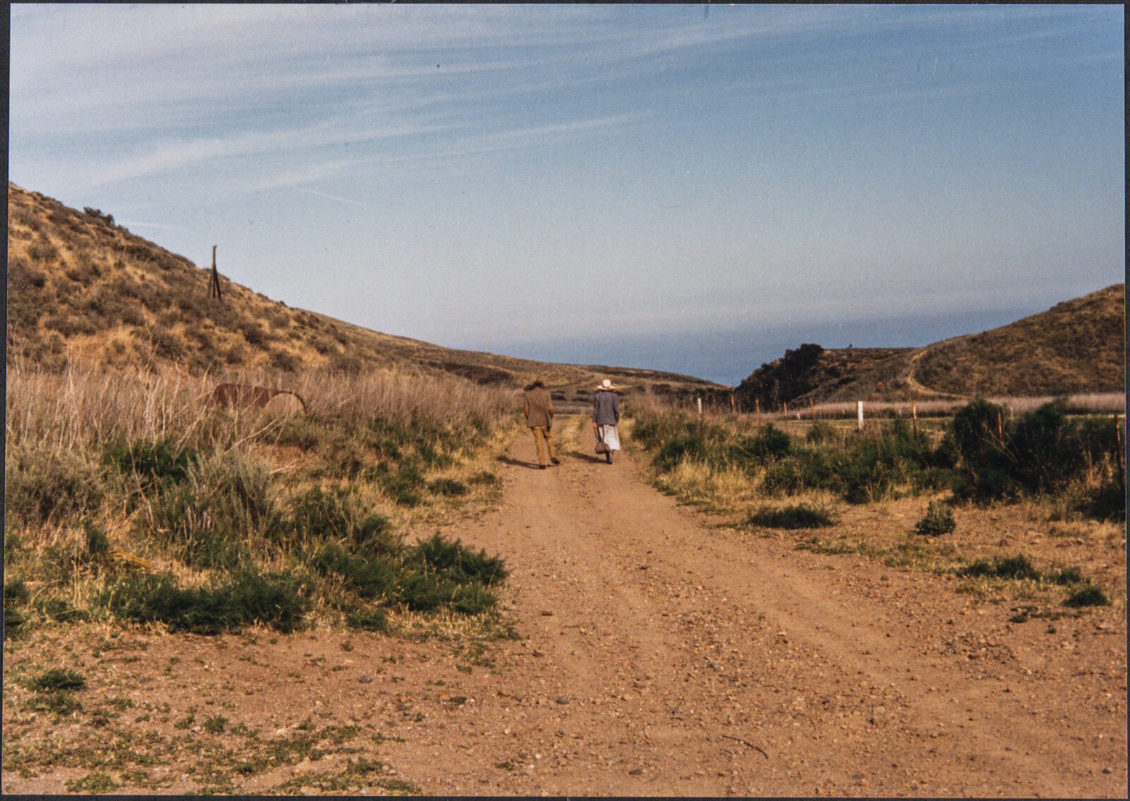 Santa Cruz Island Photographs