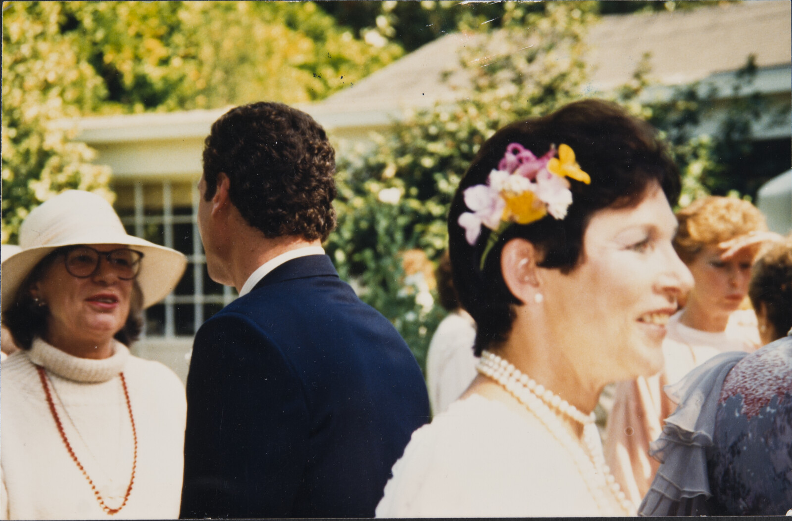 Healdsburg Family Photographs