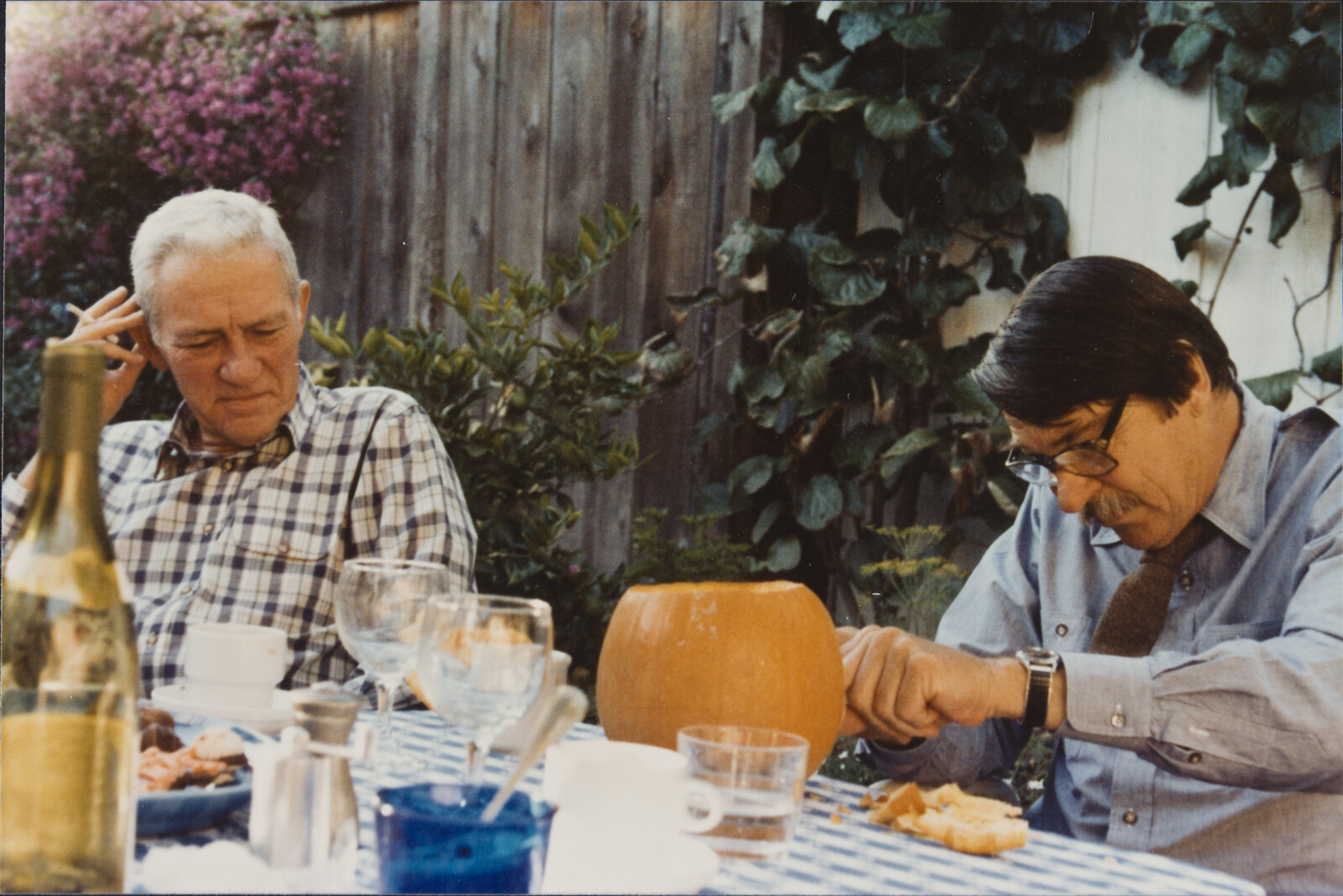 Healdsburg Family Photographs