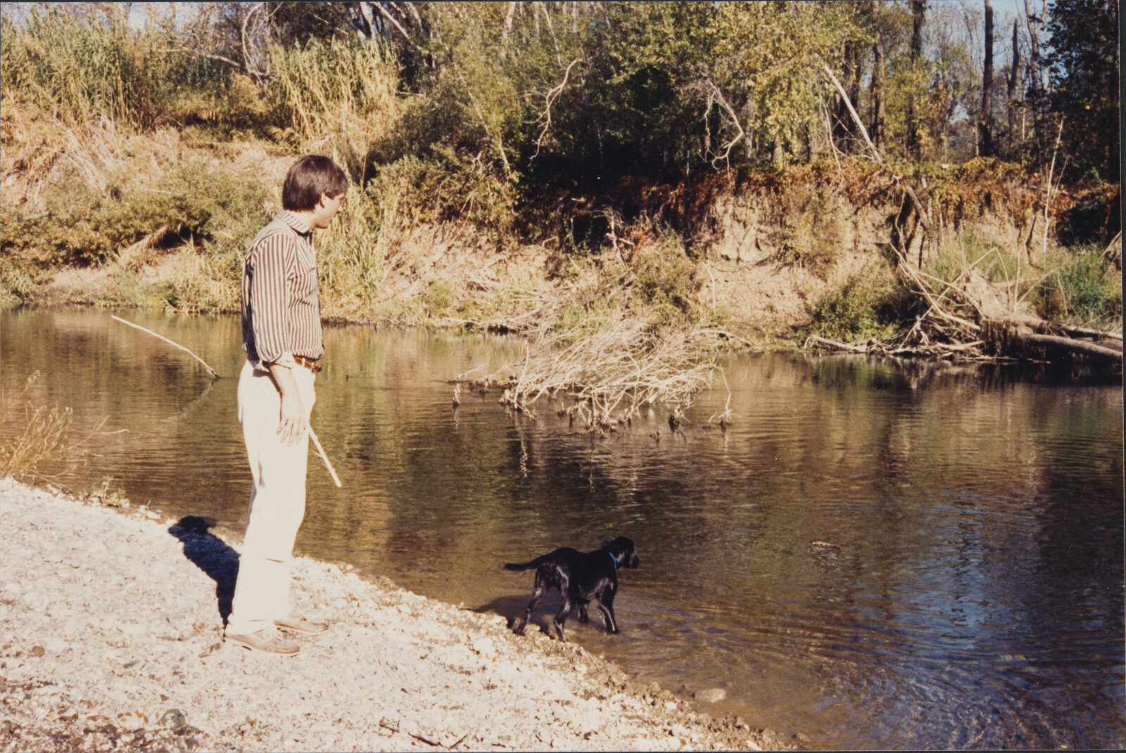 Healdsburg Family Photographs