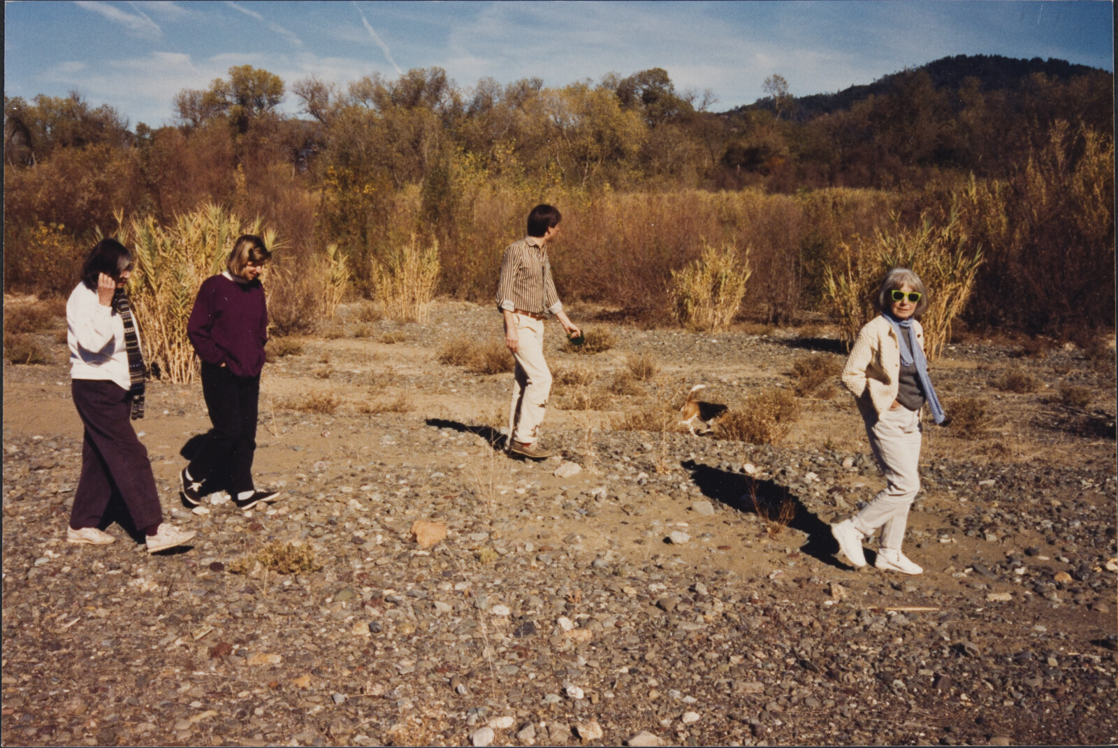 Healdsburg Family Photographs