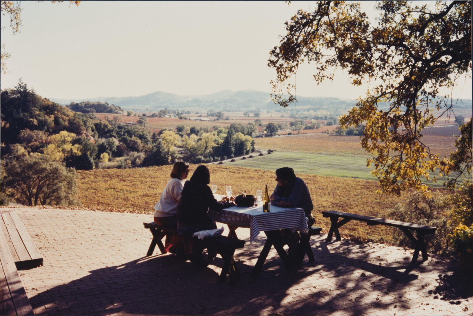 Healdsburg Family Photographs