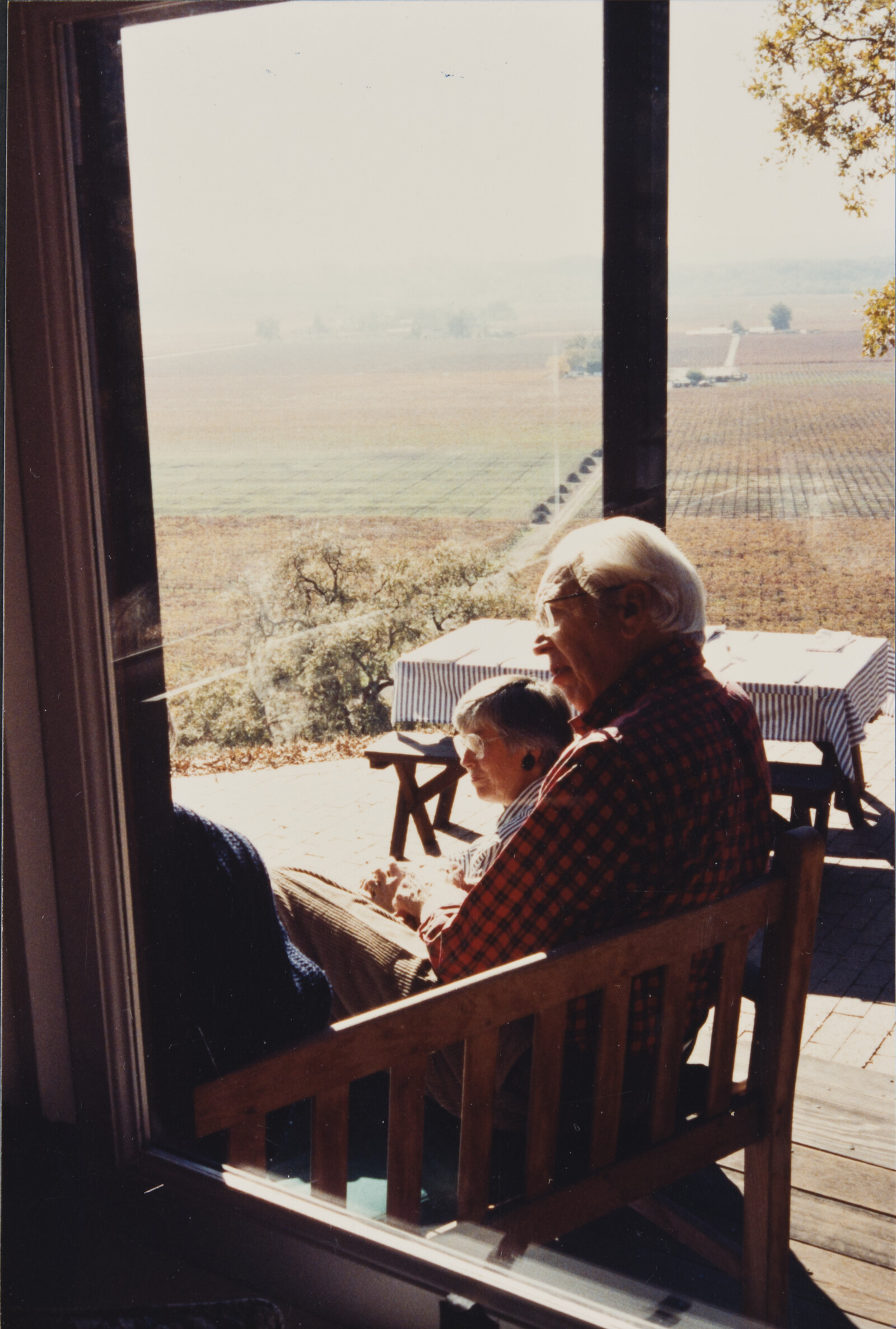 Healdsburg Family Photographs