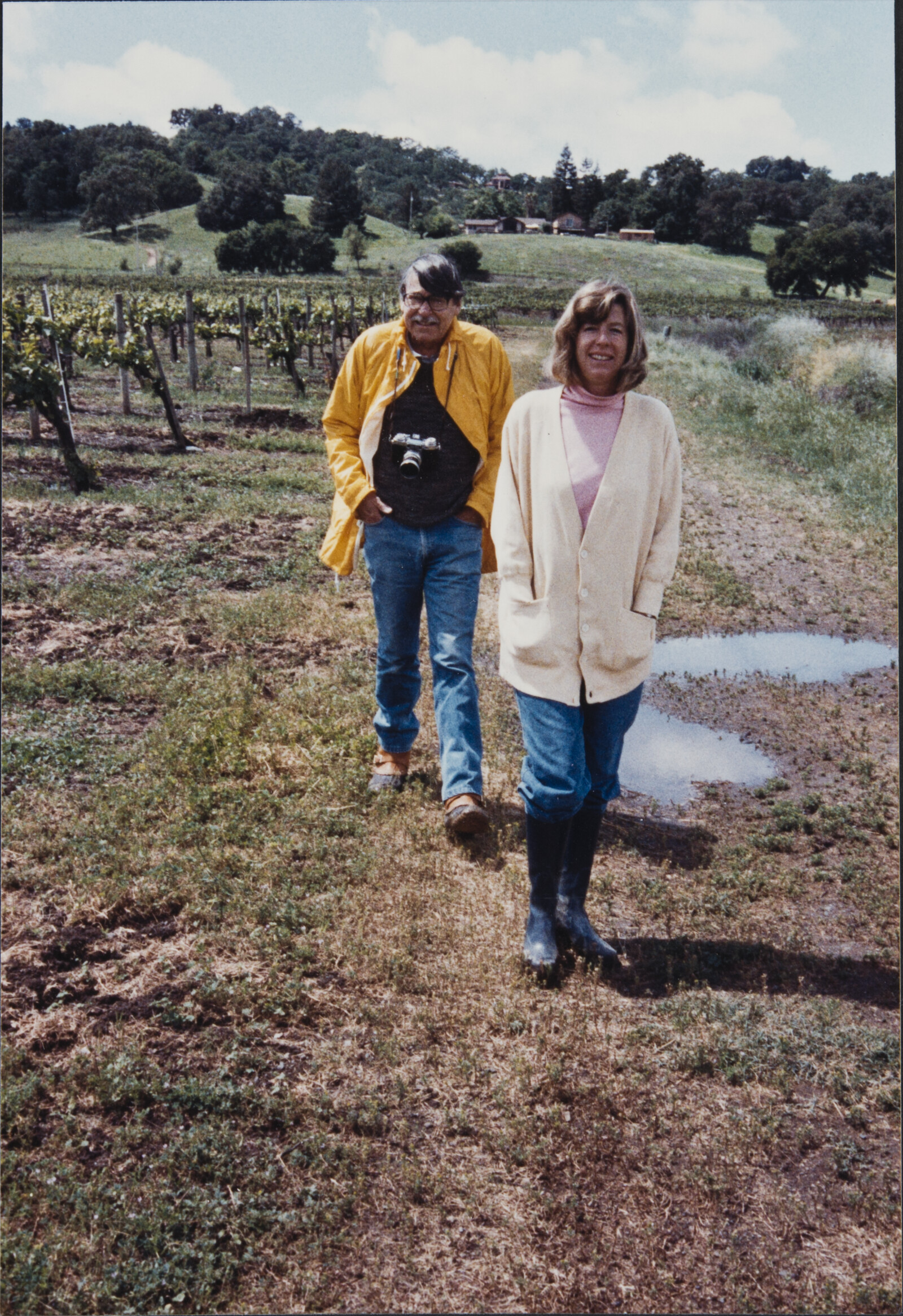 Healdsburg Family Photographs