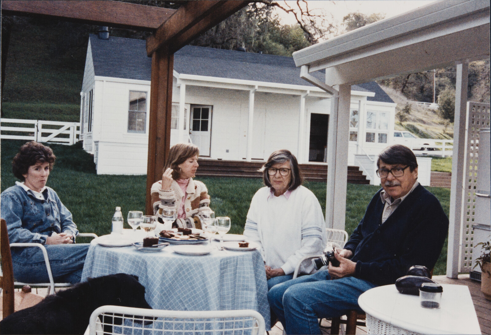 Healdsburg Family Photographs
