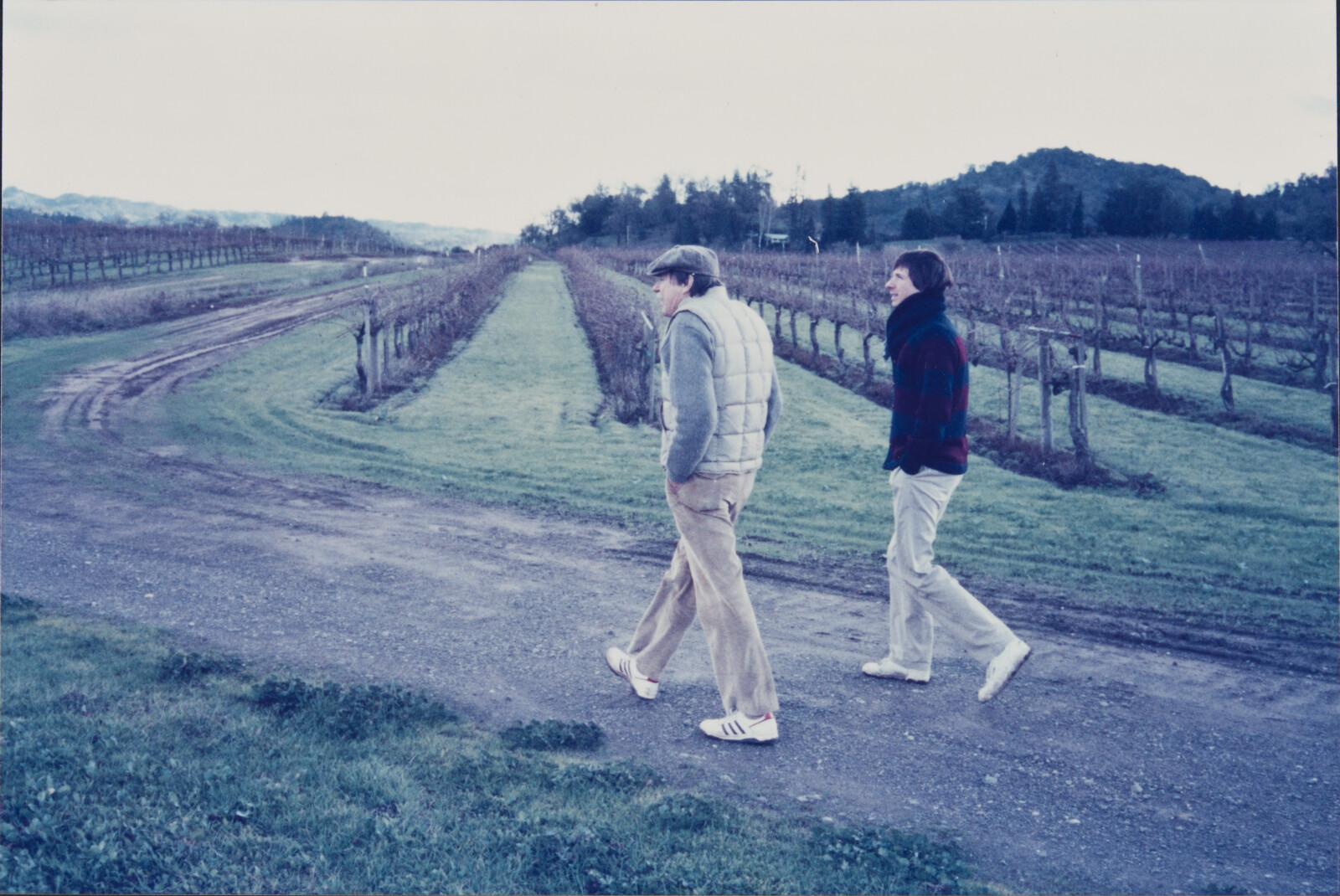 Healdsburg Family Photographs