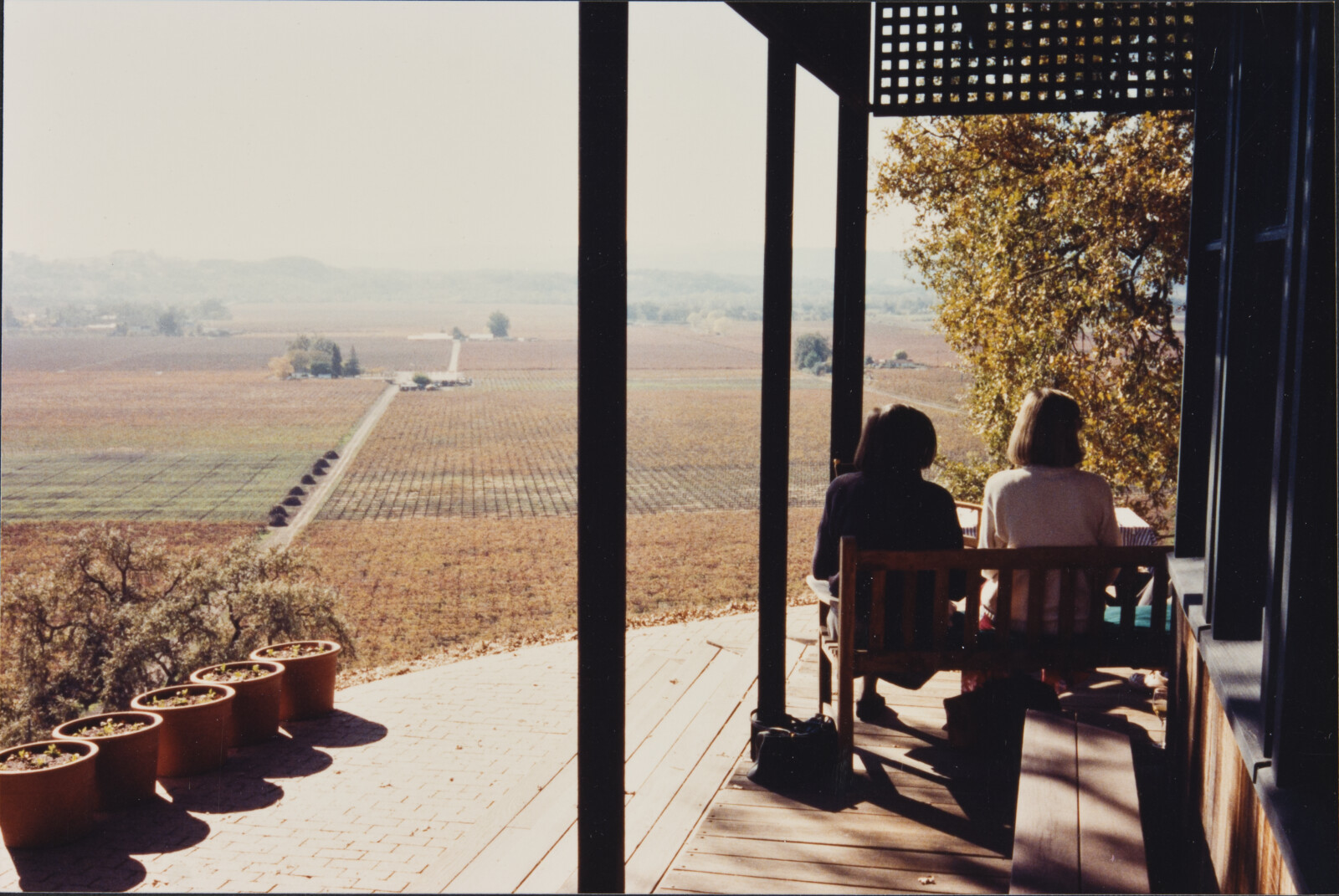 Healdsburg Family Photographs