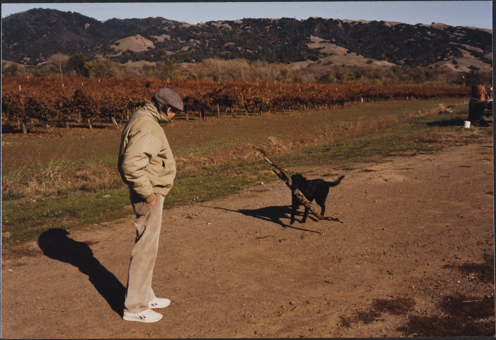 Healdsburg Family Photographs