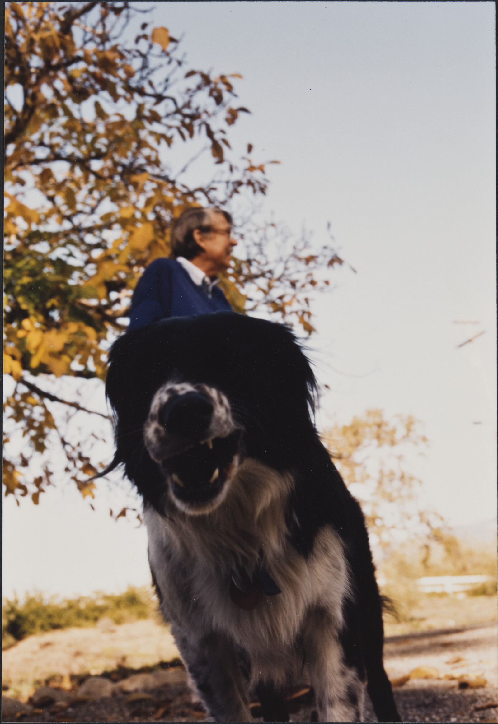 Healdsburg Family Photographs