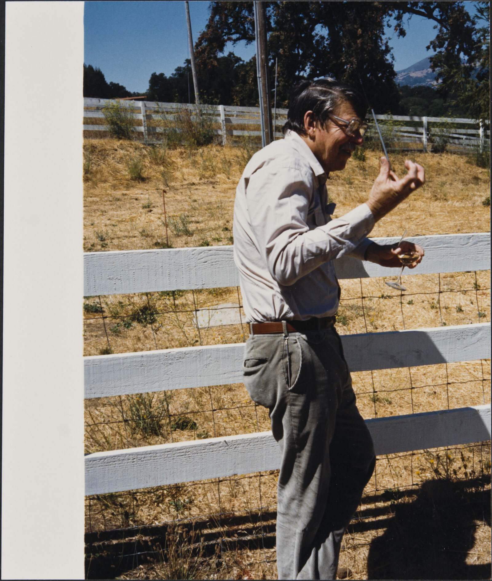 Healdsburg Family Photographs