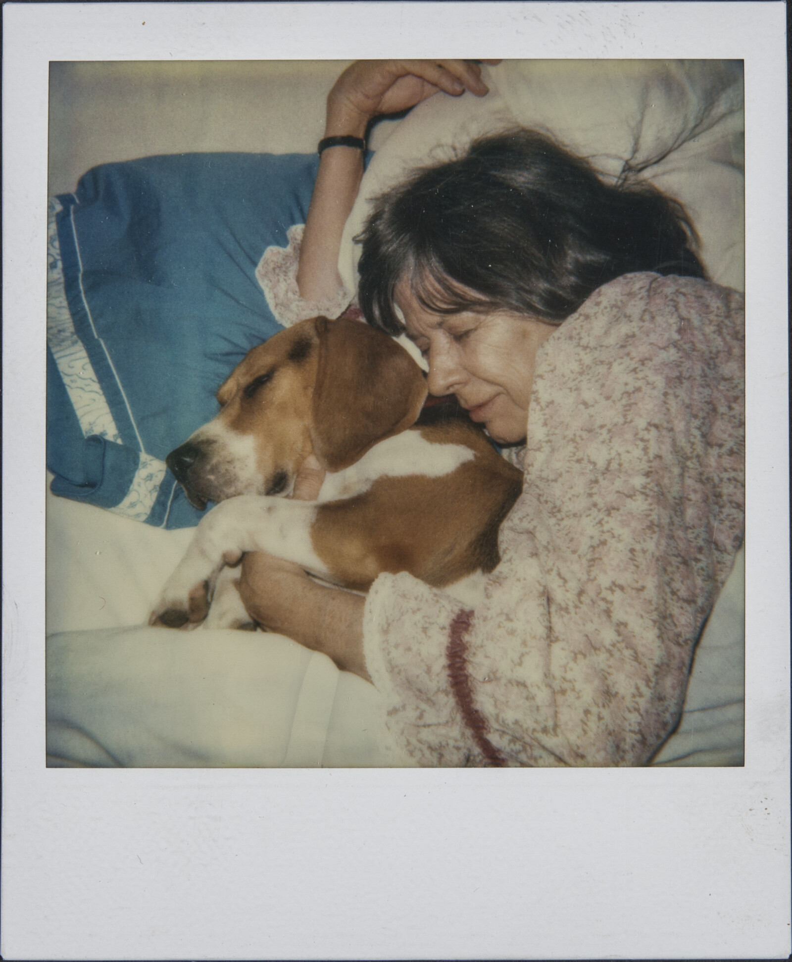 Diebenkorn Dog Photographs