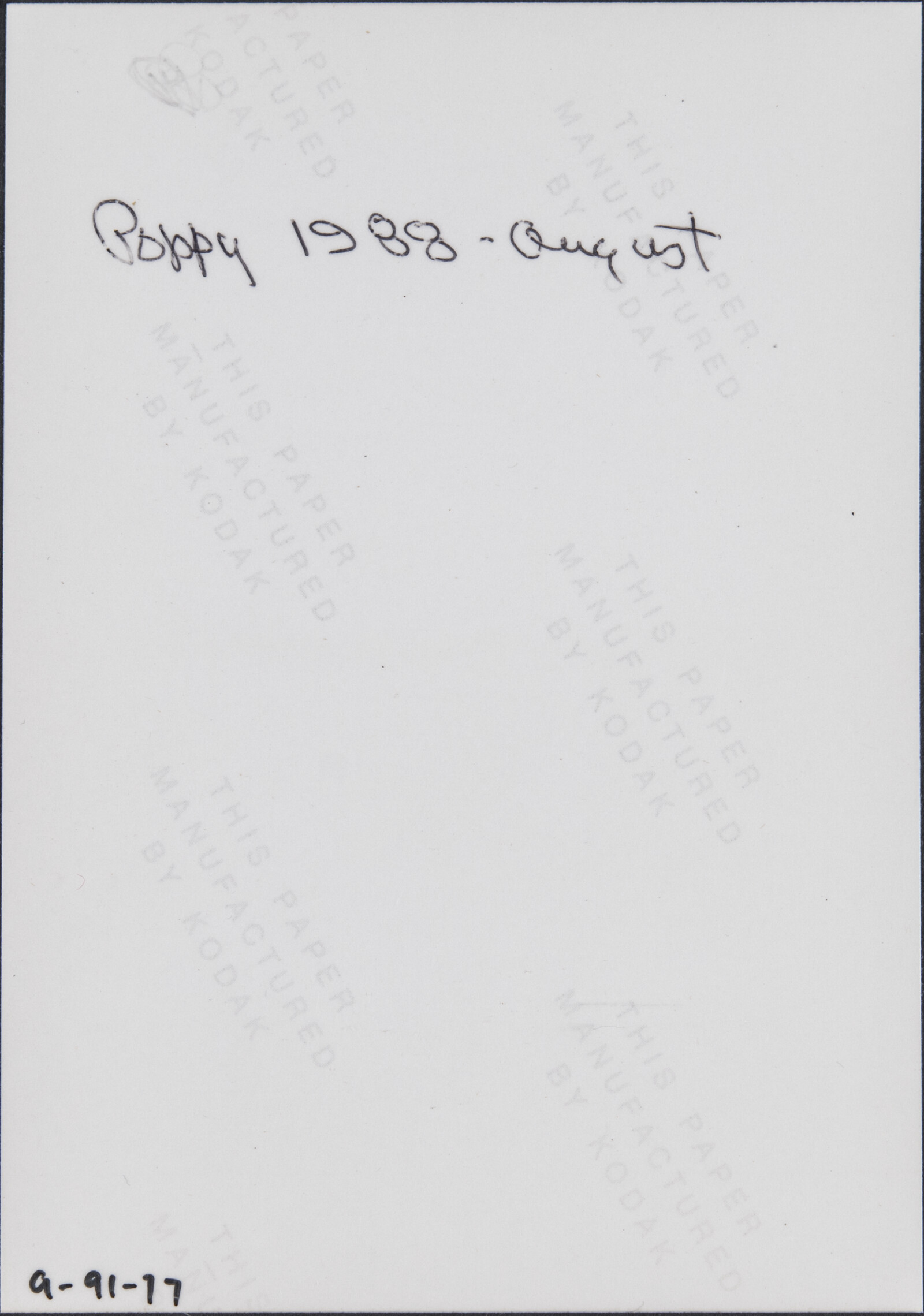 Diebenkorn Dog Photographs