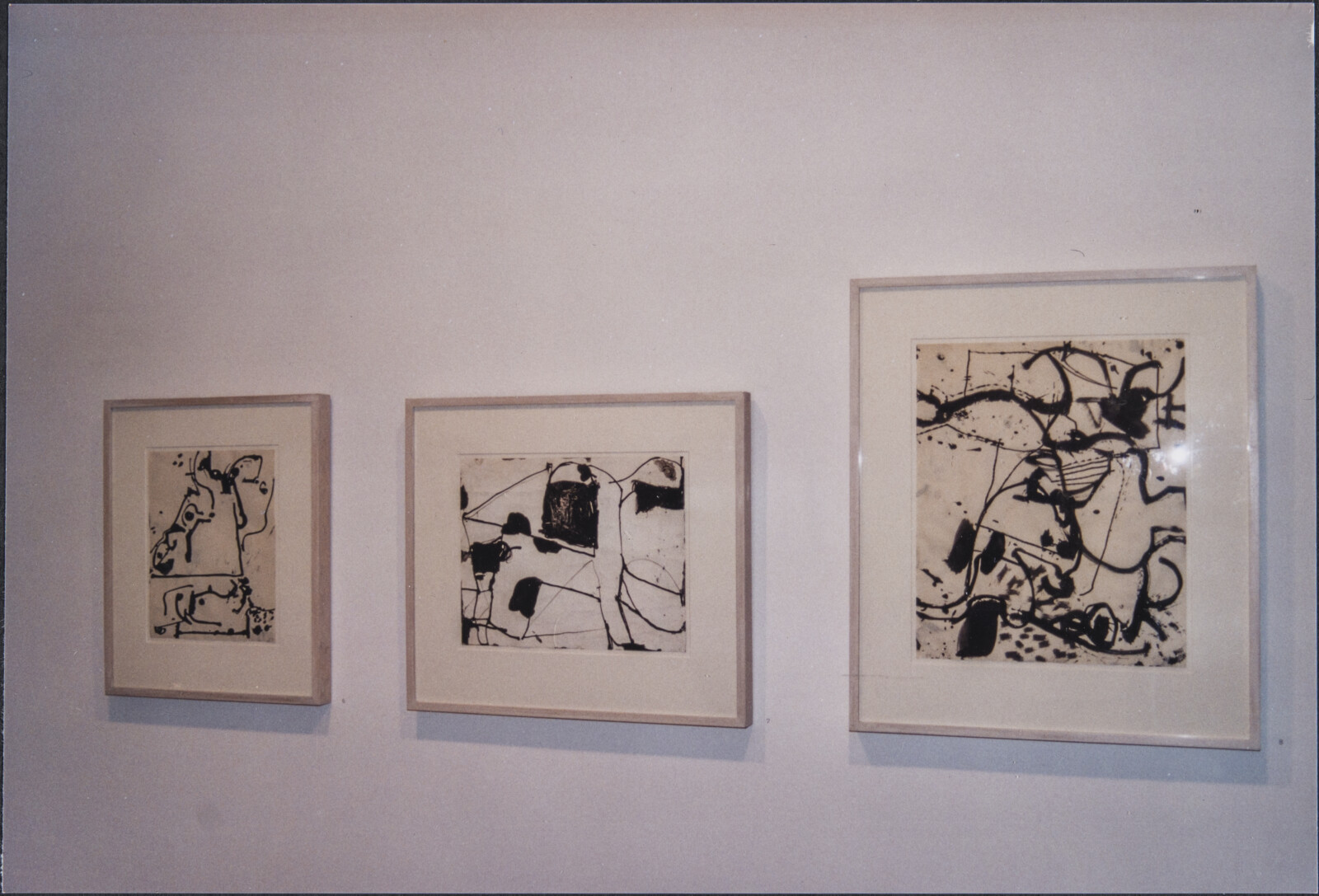 Exhibition Photographs