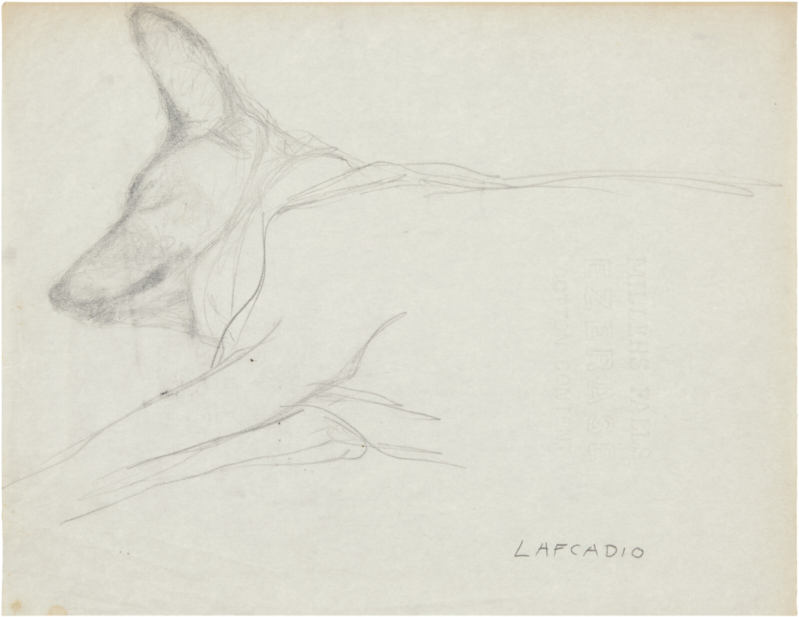 Untitled (Lafcadio)