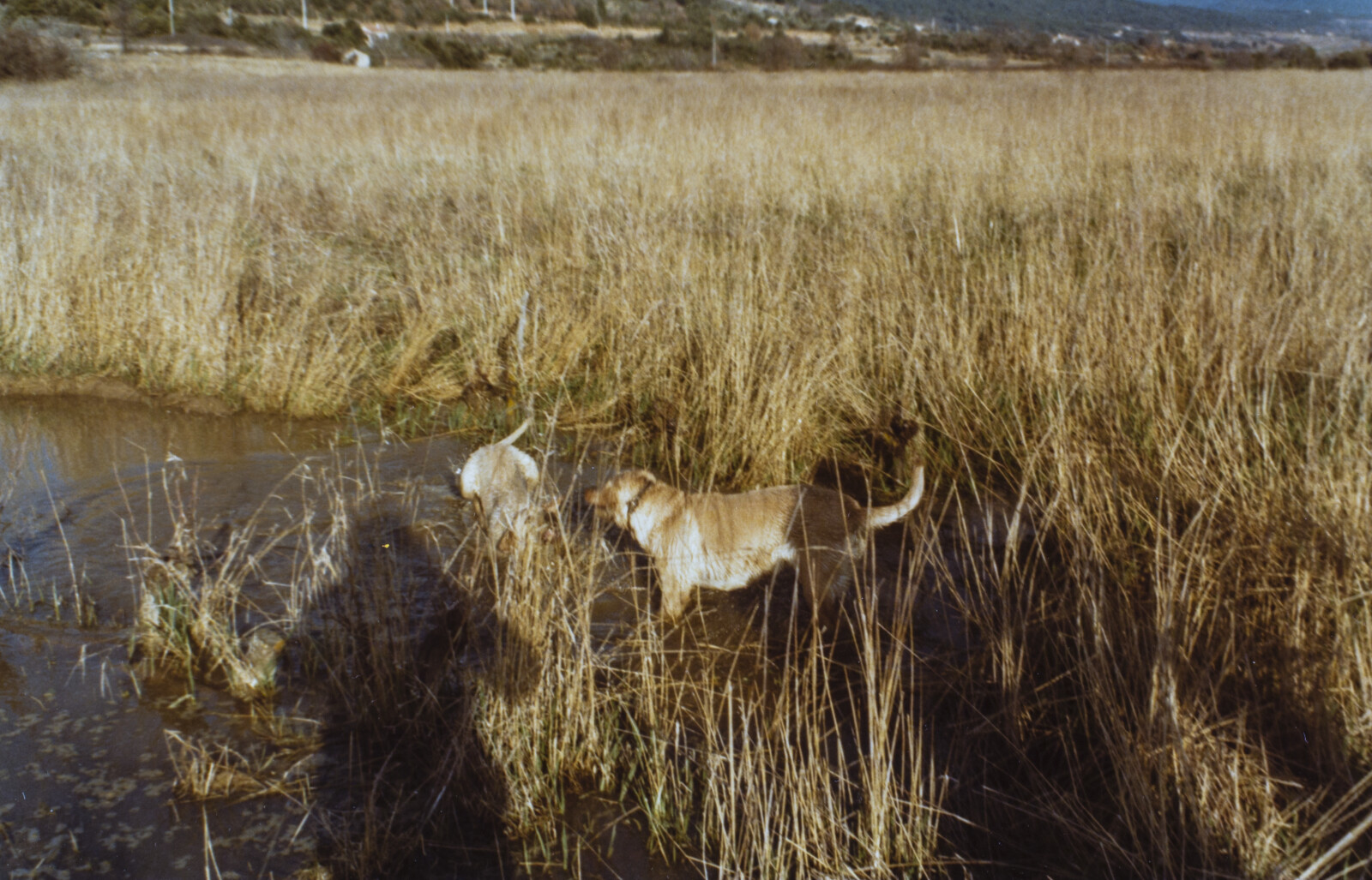 Travel Photographs from France