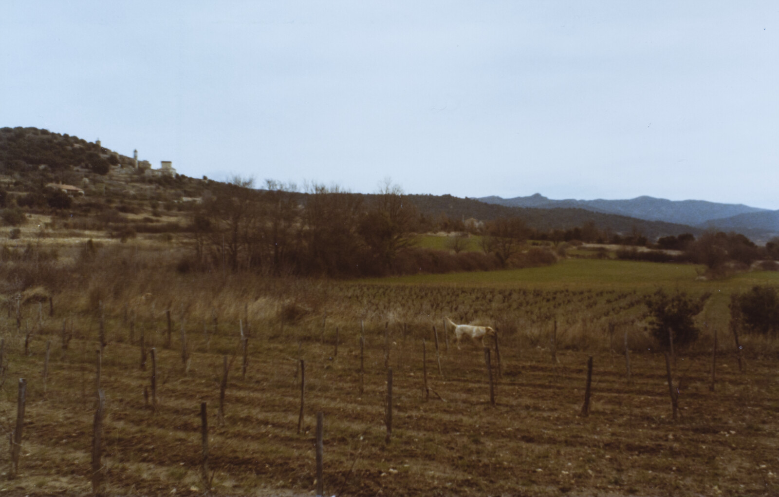 Travel Photographs from France