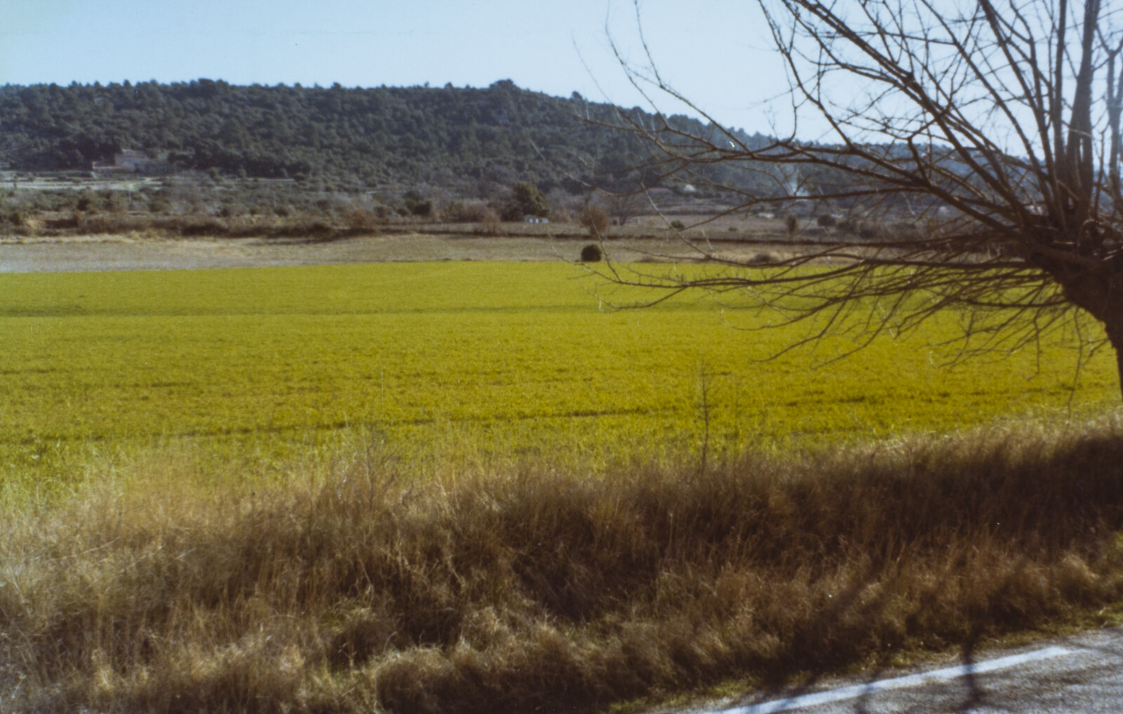 Travel Photographs from France