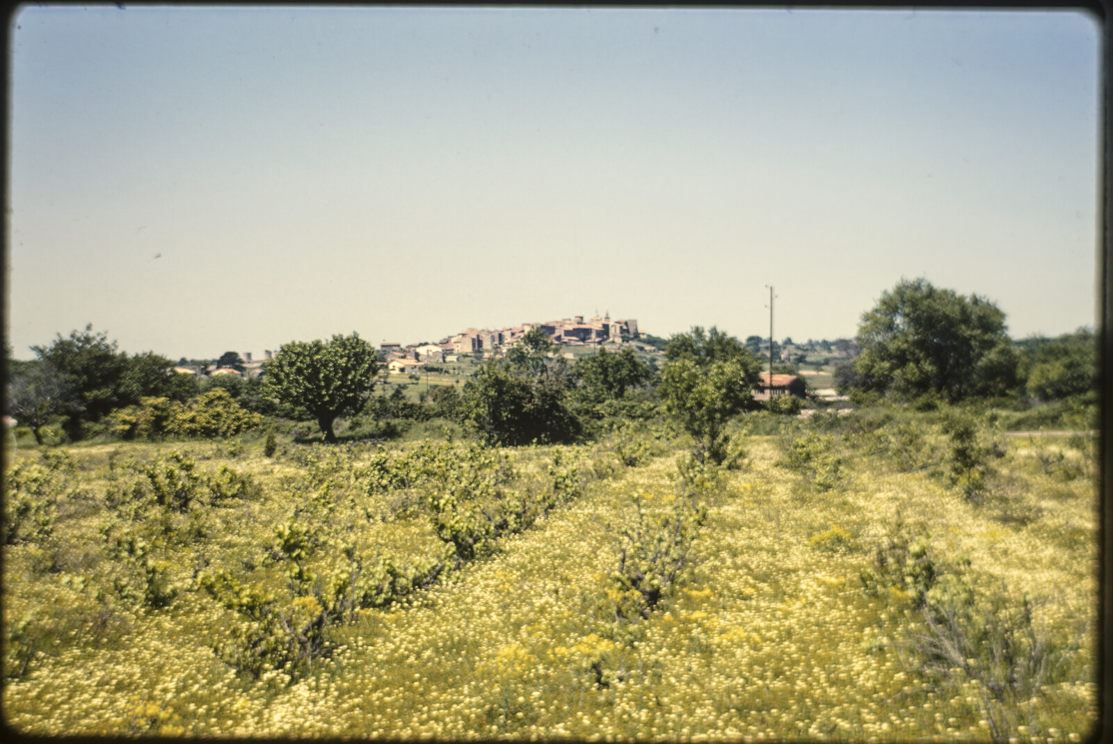 Travel Photographs from France