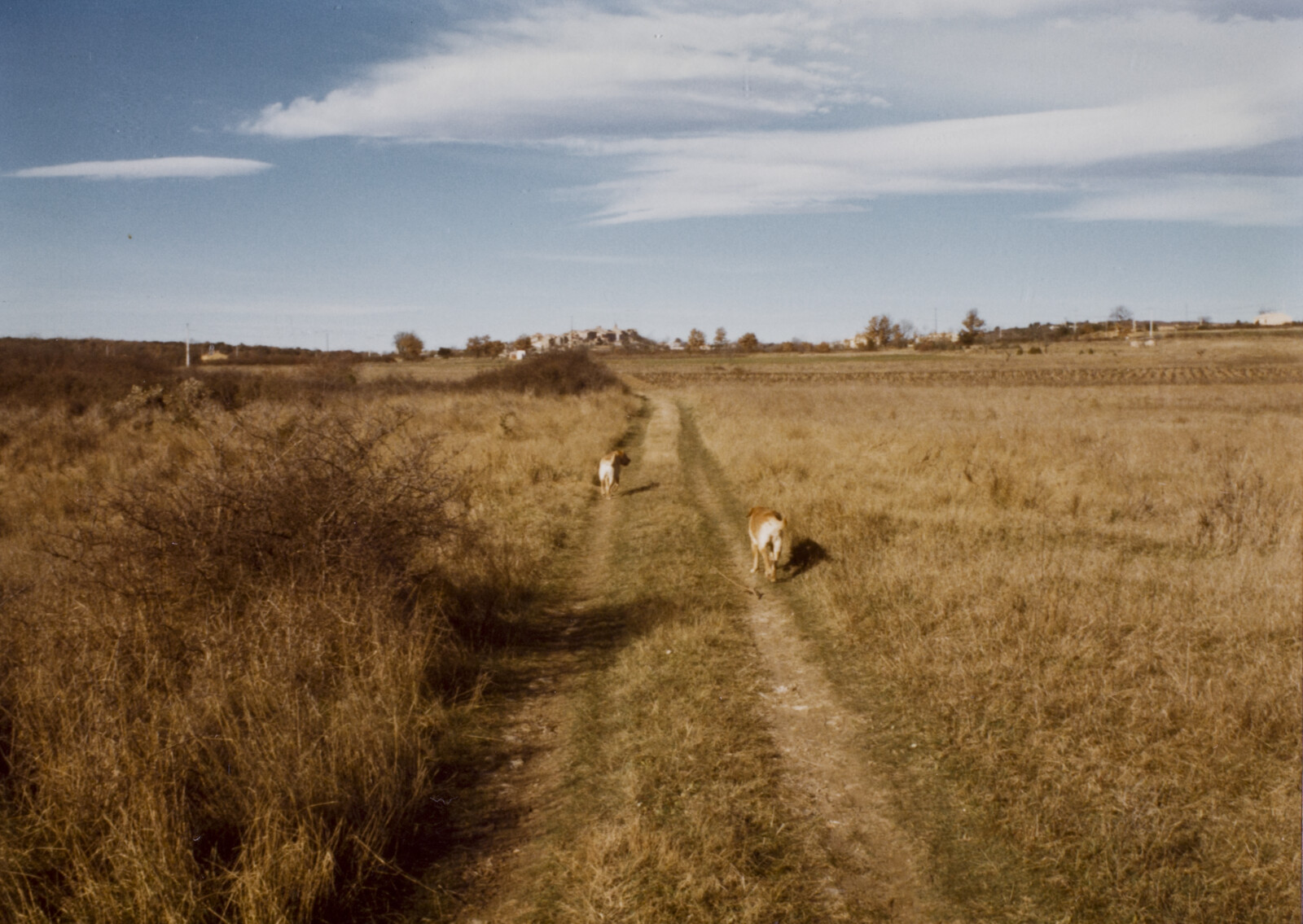 Travel Photographs from France