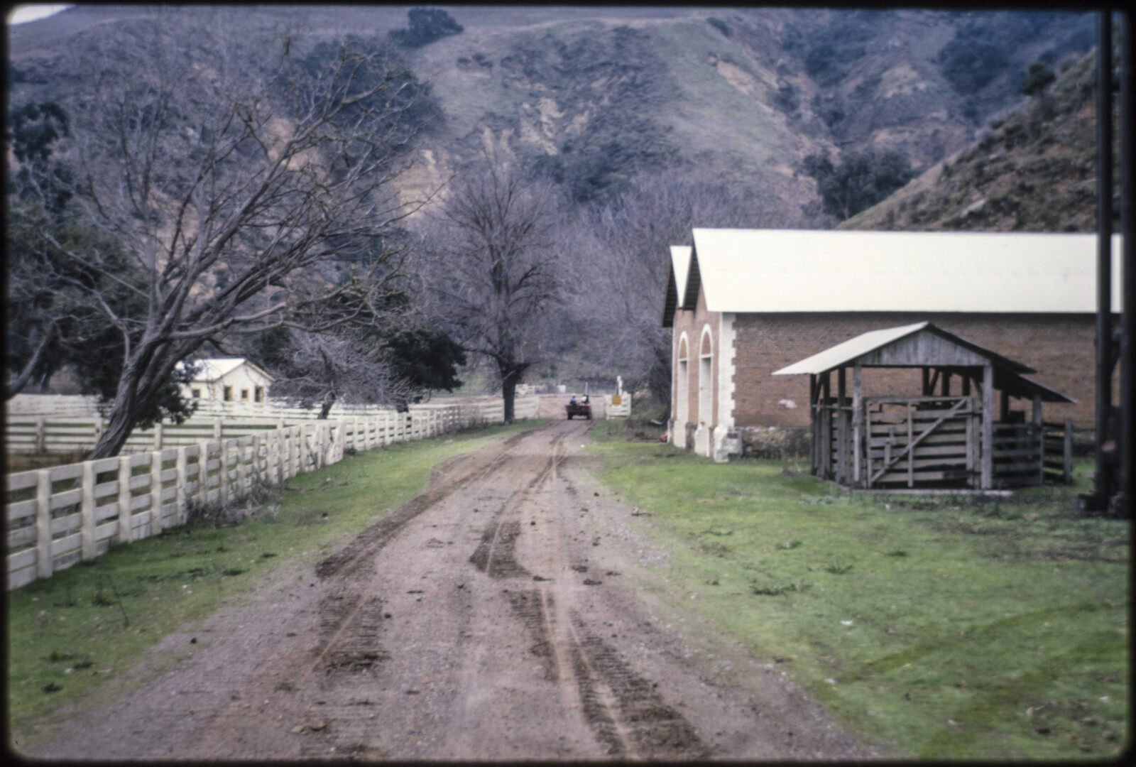 Travel Photographs from Santa Cruz Island