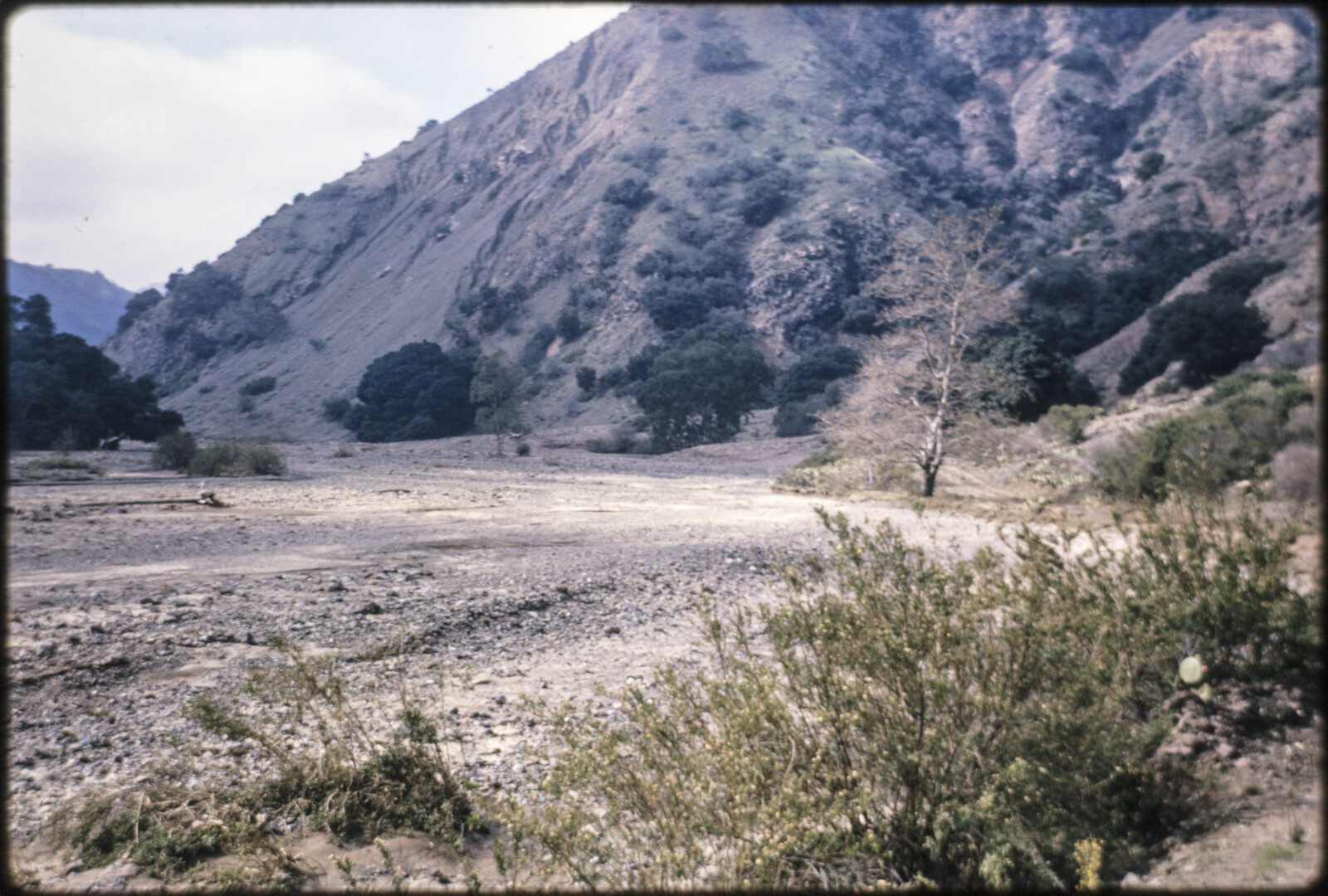 Travel Photographs from Santa Cruz Island