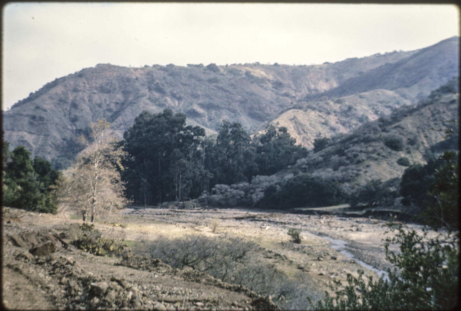 Travel Photographs from Santa Cruz Island