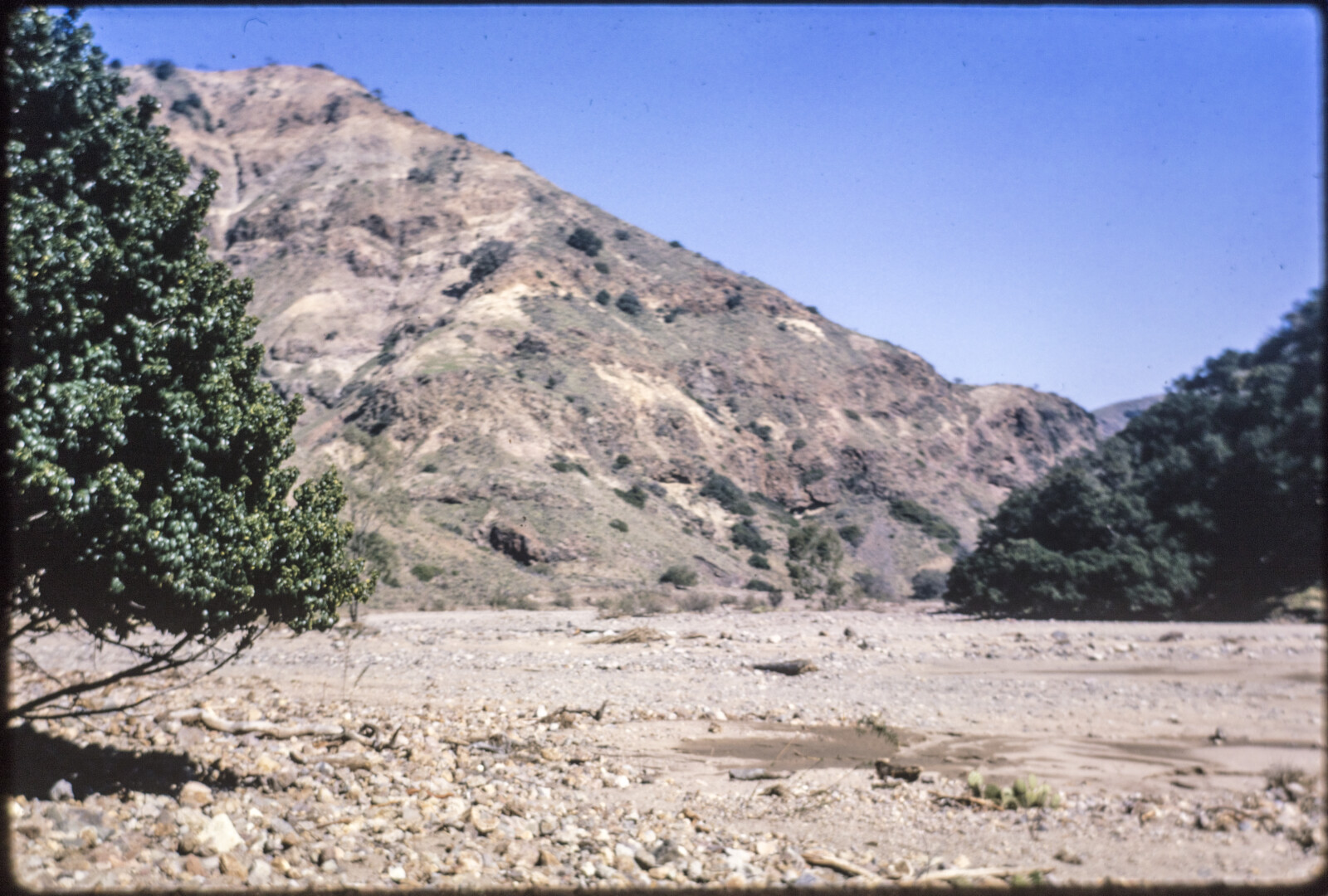Travel Photographs from Santa Cruz Island