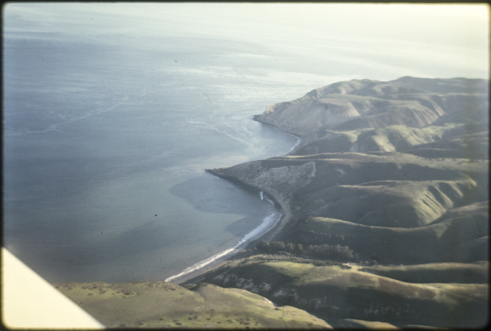 Travel Photographs from Santa Cruz Island