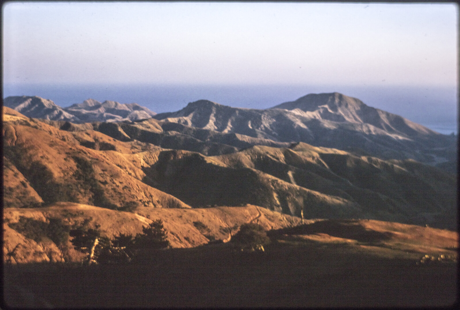 Travel Photographs from Santa Cruz Island