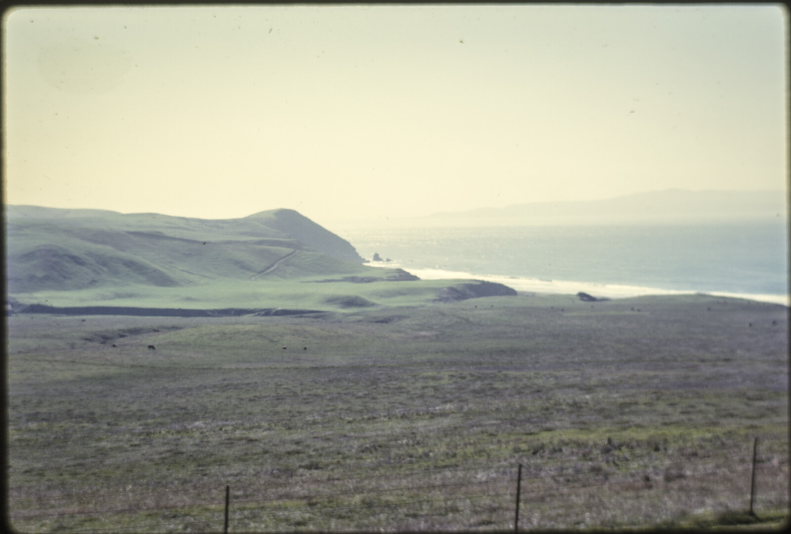 Travel Photographs from Santa Cruz Island