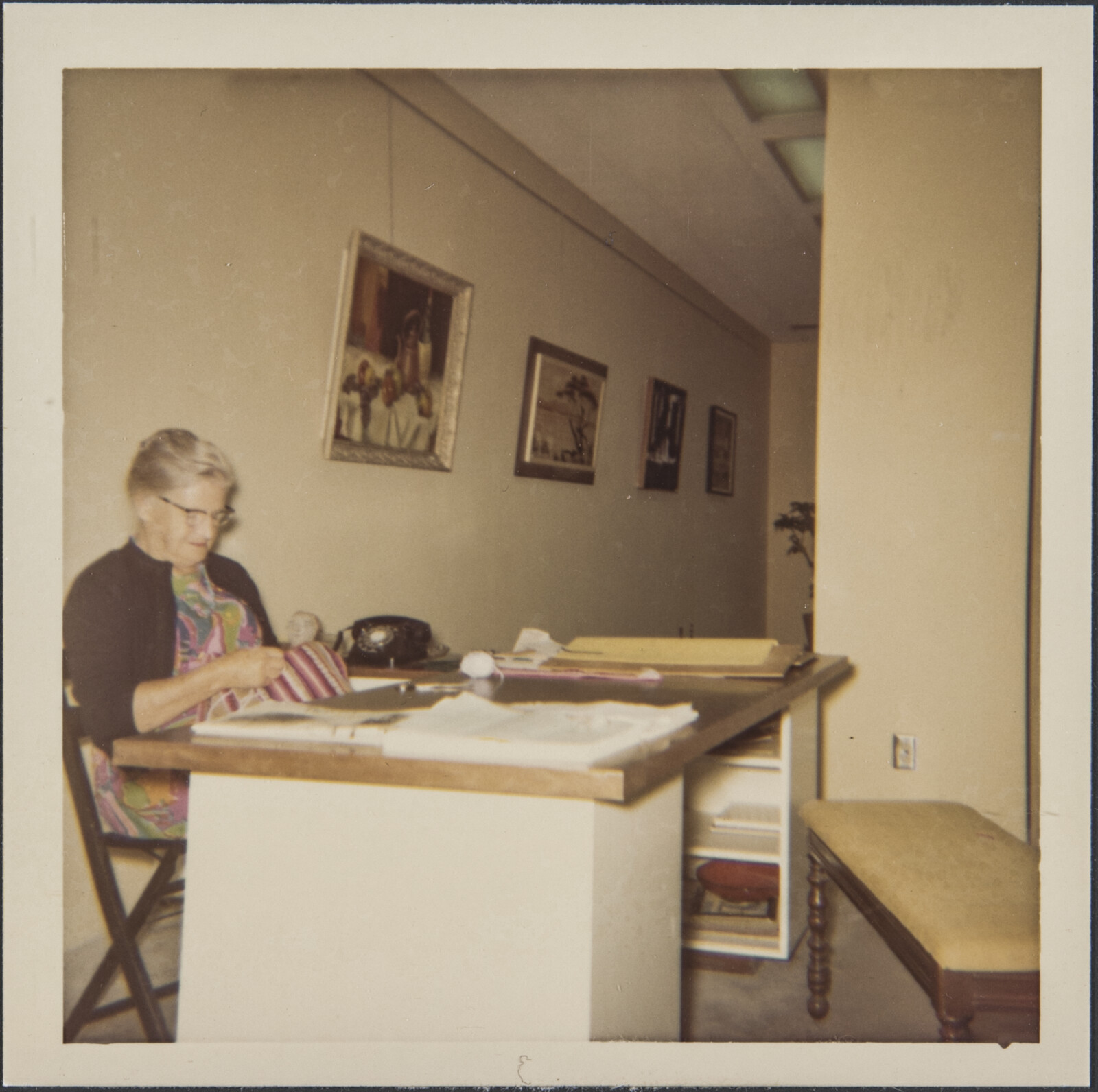 Family Photograph Album with Flyer